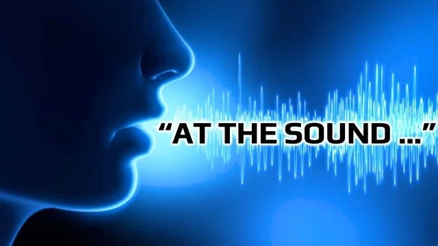 At The Sound - Tom Hatch