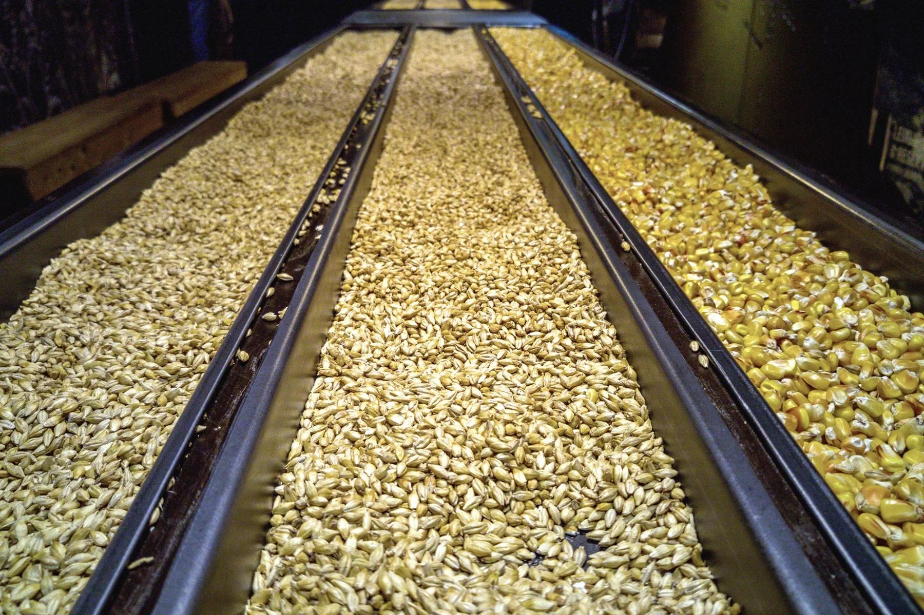 Cleaning-and-sorting-seeds_iStock-681970350_m.jpg