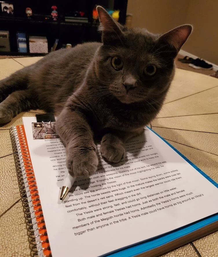 Writing Wilde - Writing Tip Archives - December 2019