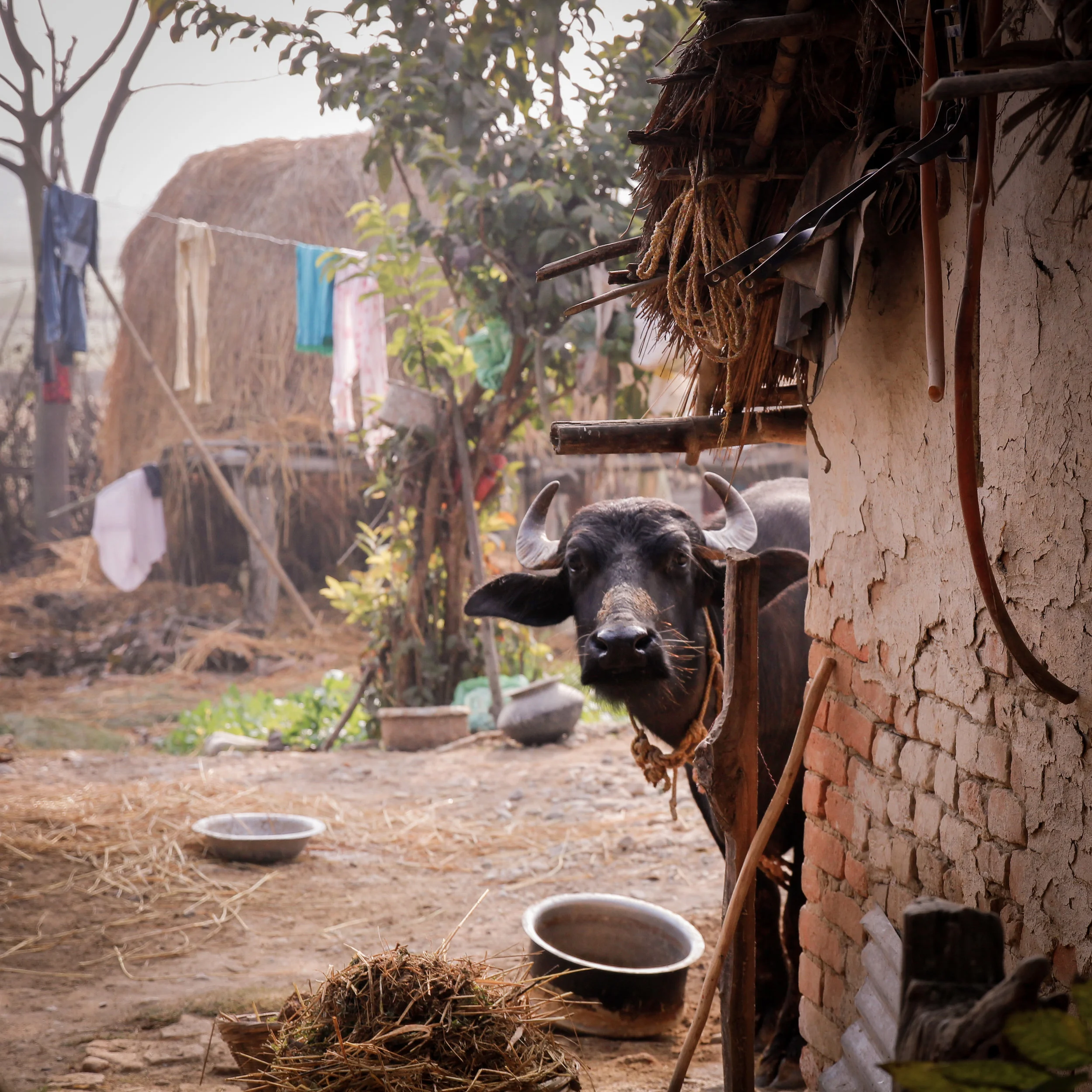 Nepal-17.jpg