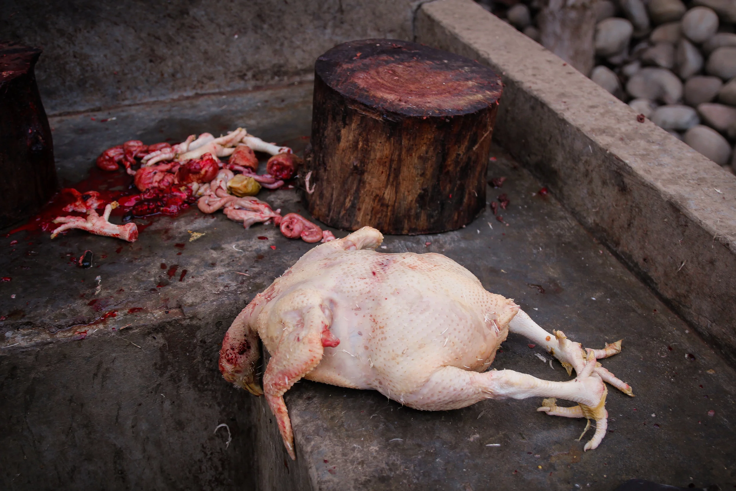 Nepal-18.jpg