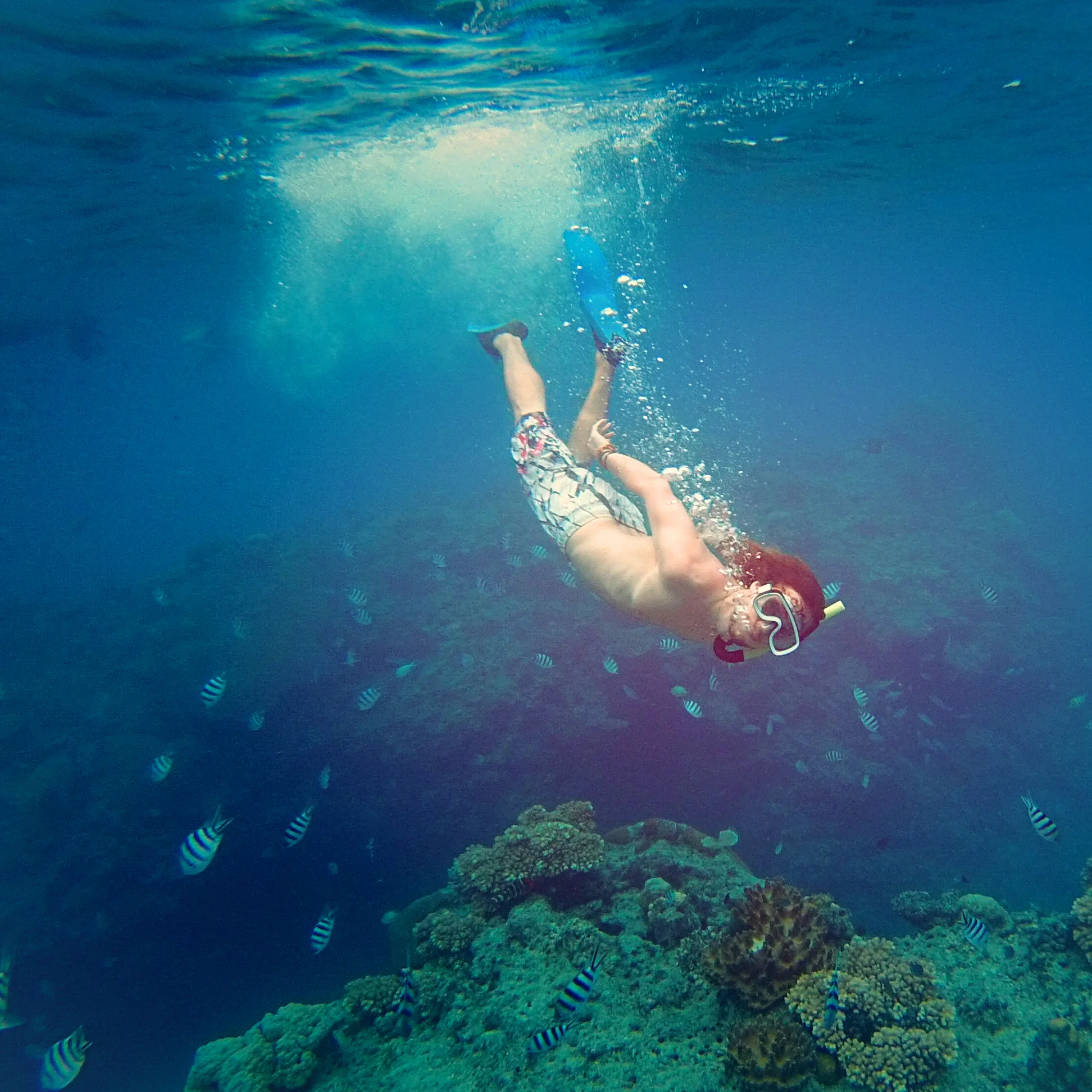 Australia Fiji-22.jpg