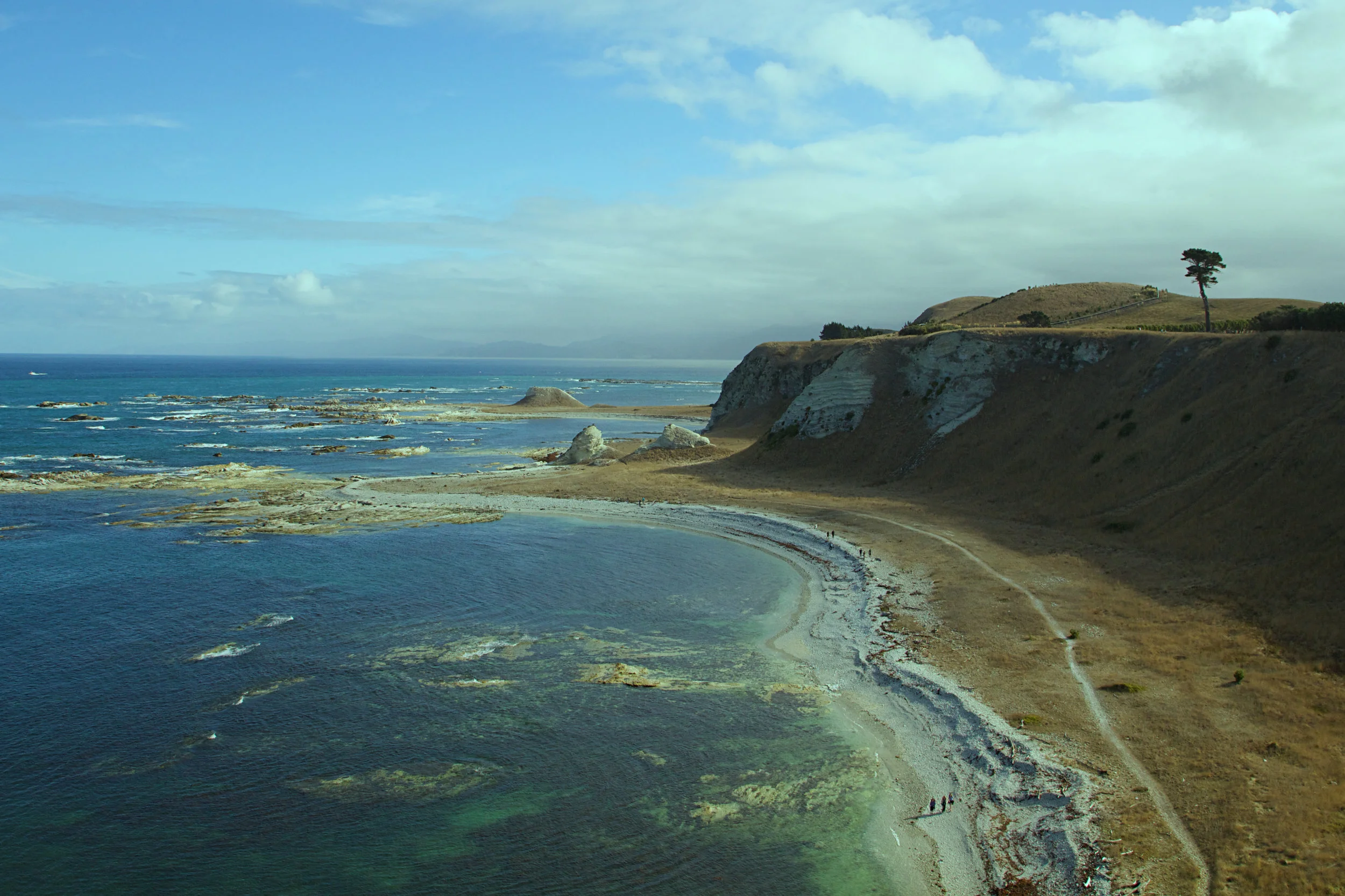 NZ-6.jpg