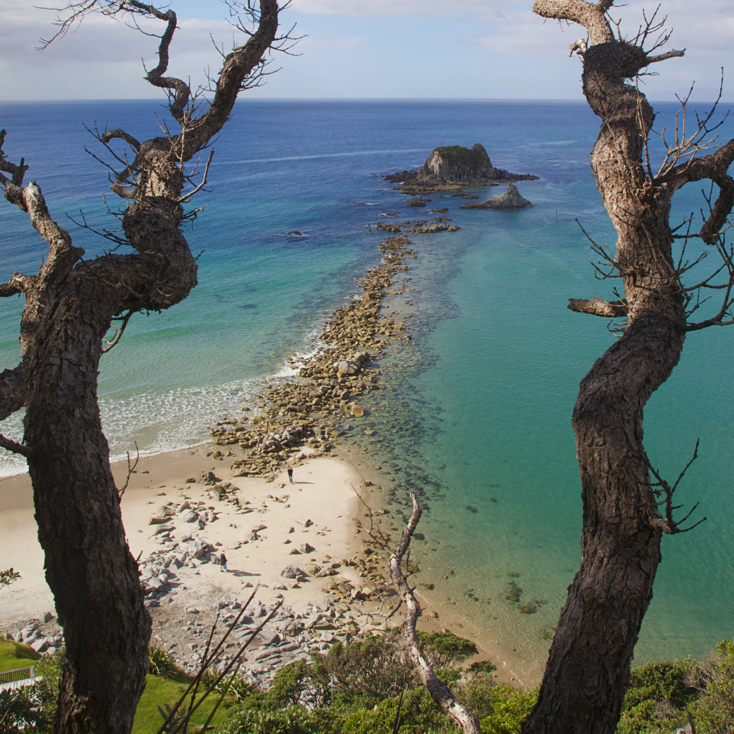 NZ-20.jpg