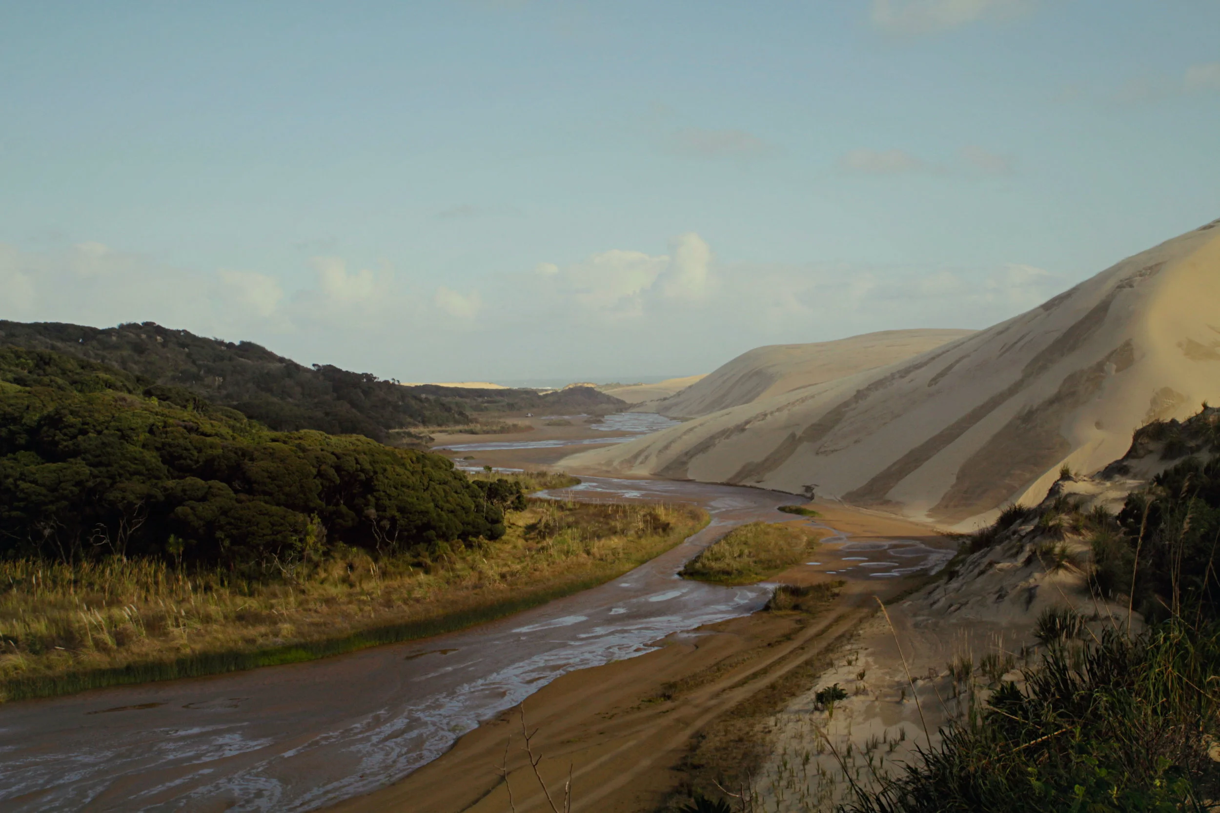 NZ-28.jpg