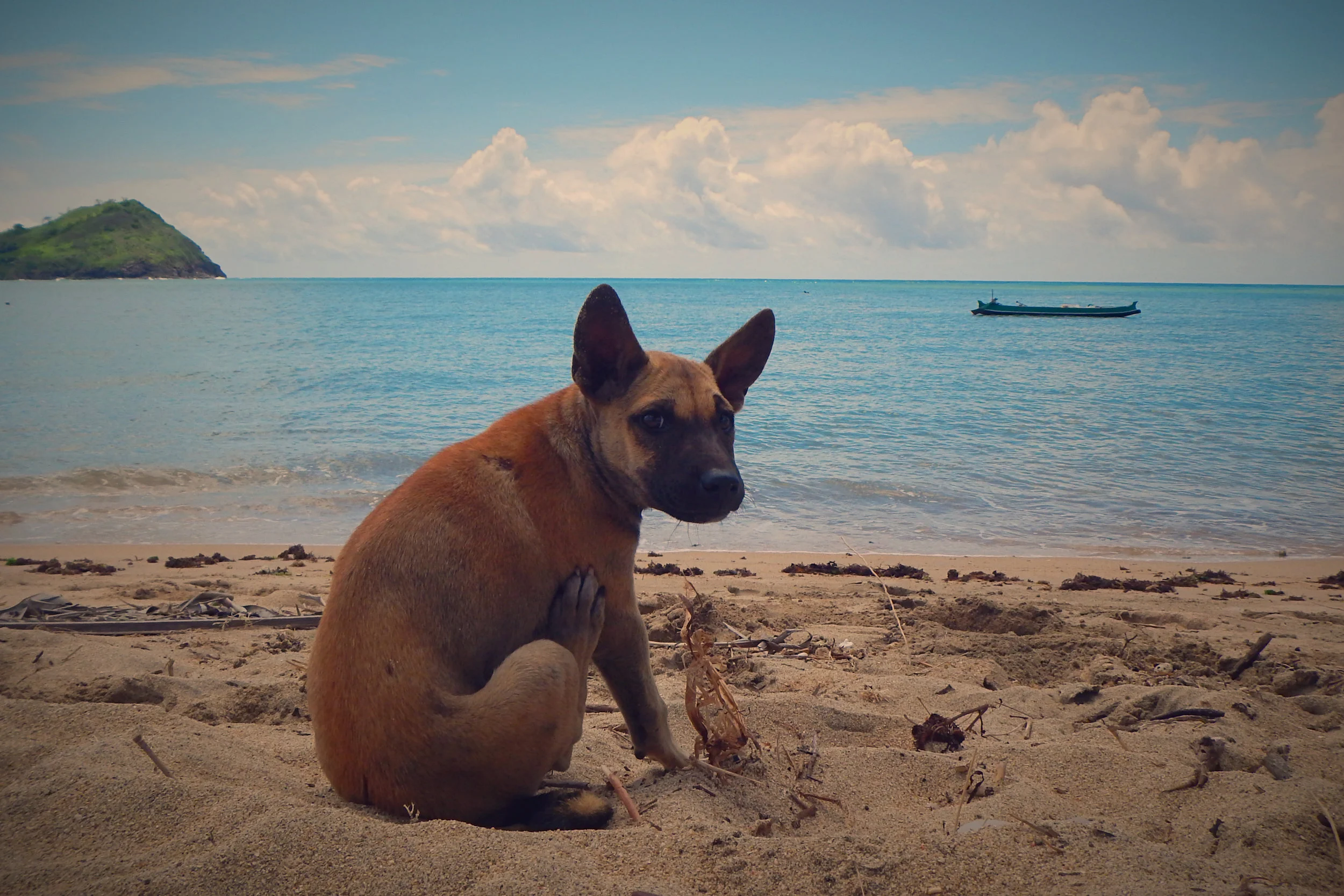 Indo Philippines-2.jpg