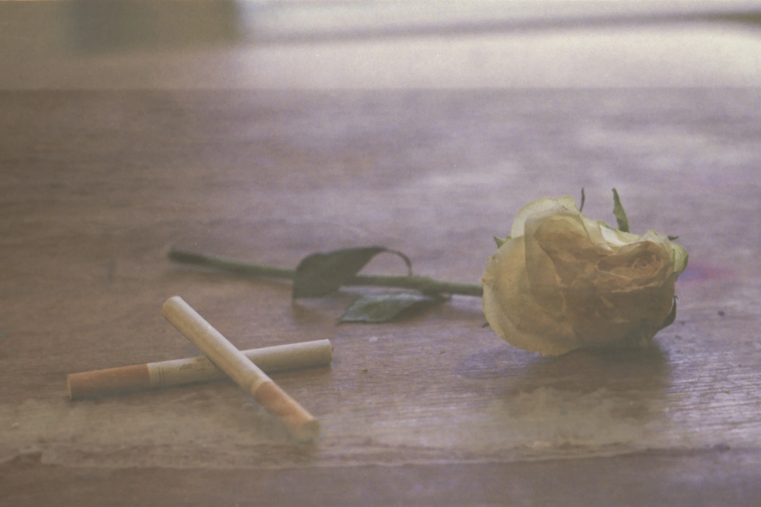 rose.jpg
