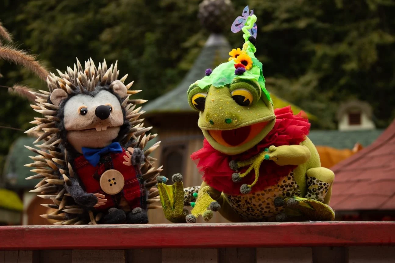 WhatsApp Image 2026-02-11 at 07.47.20.jpeg