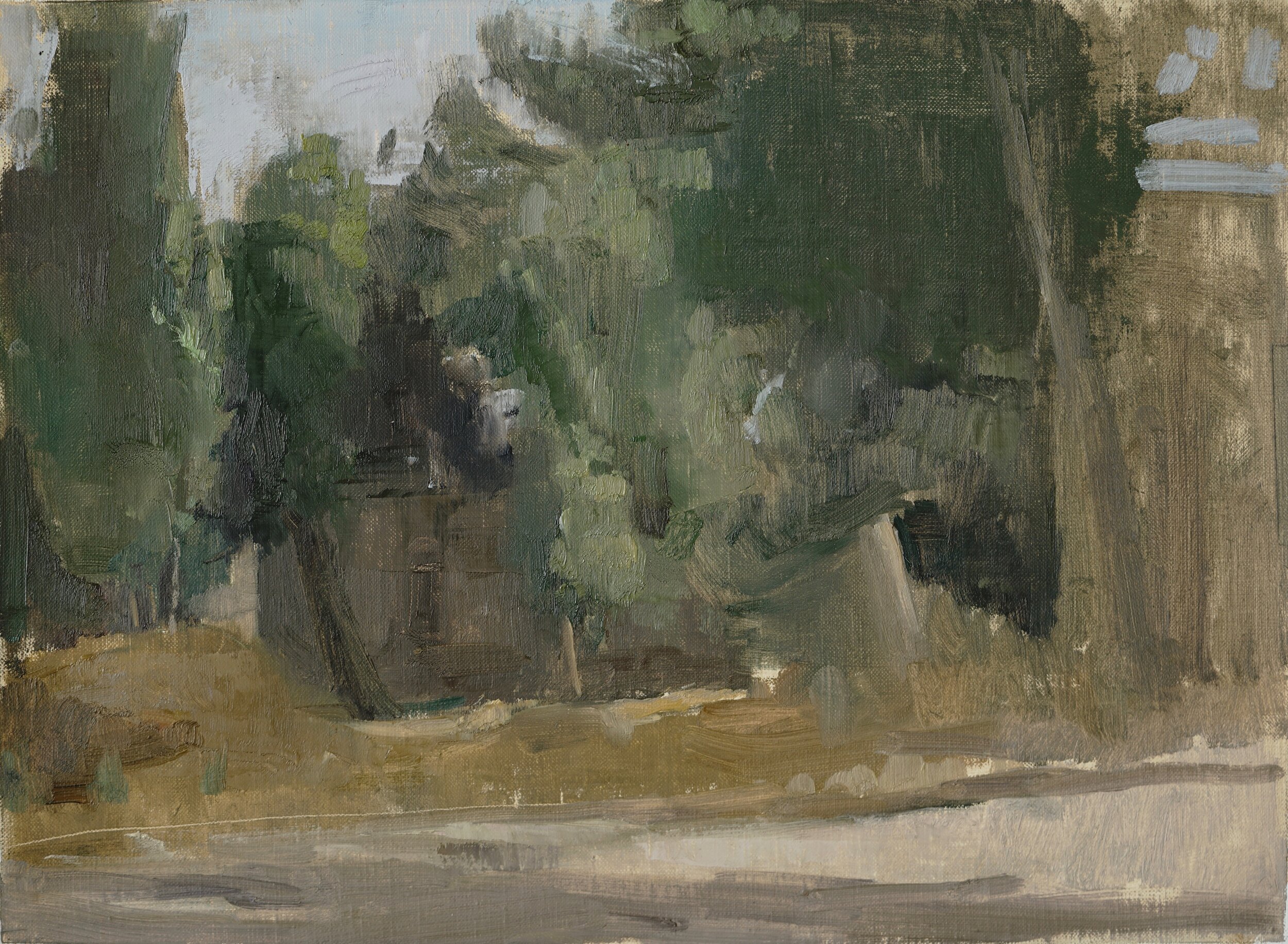 Evening Sketch in the Park, Abu Tor, 2019