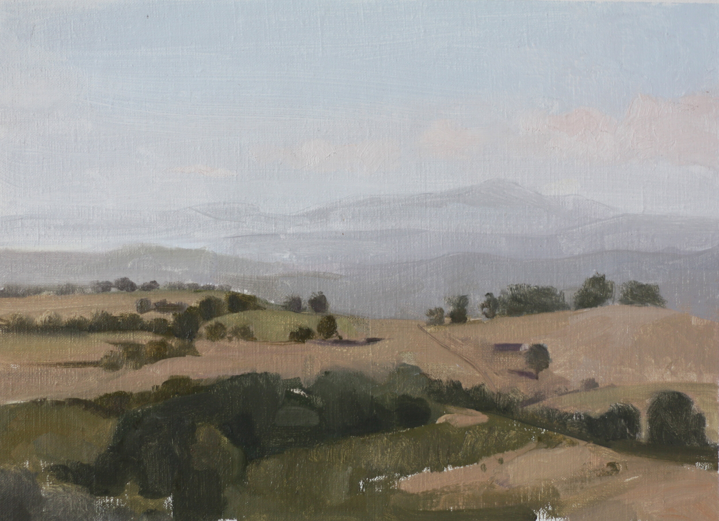 Olive Farm Landscape, 2013