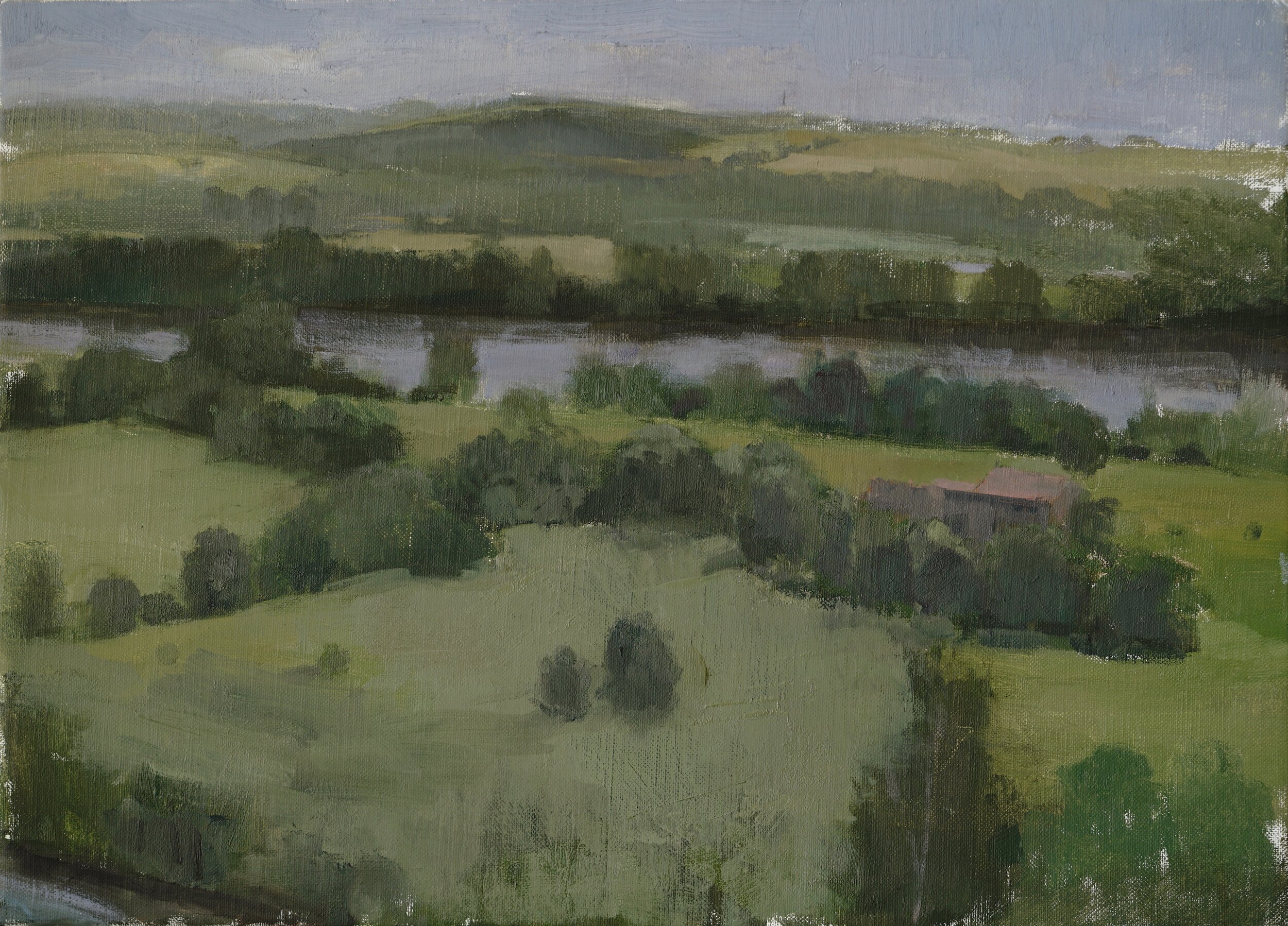 Island along the Loire, 2015