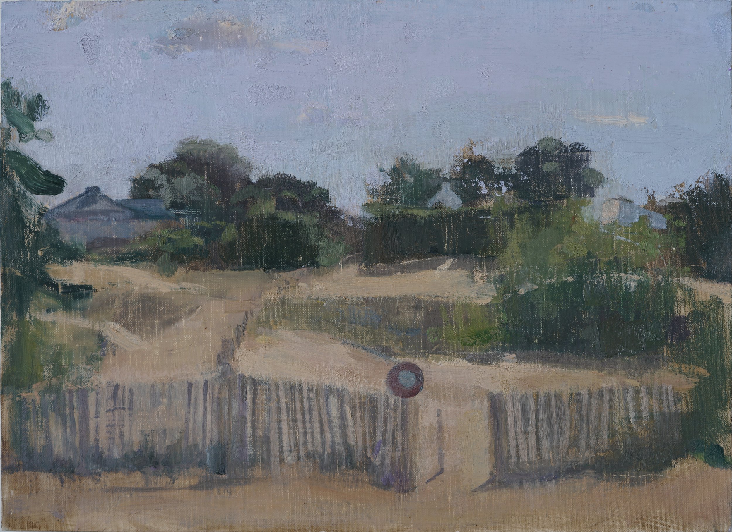 Early Summer Morning by the Dune, 2025