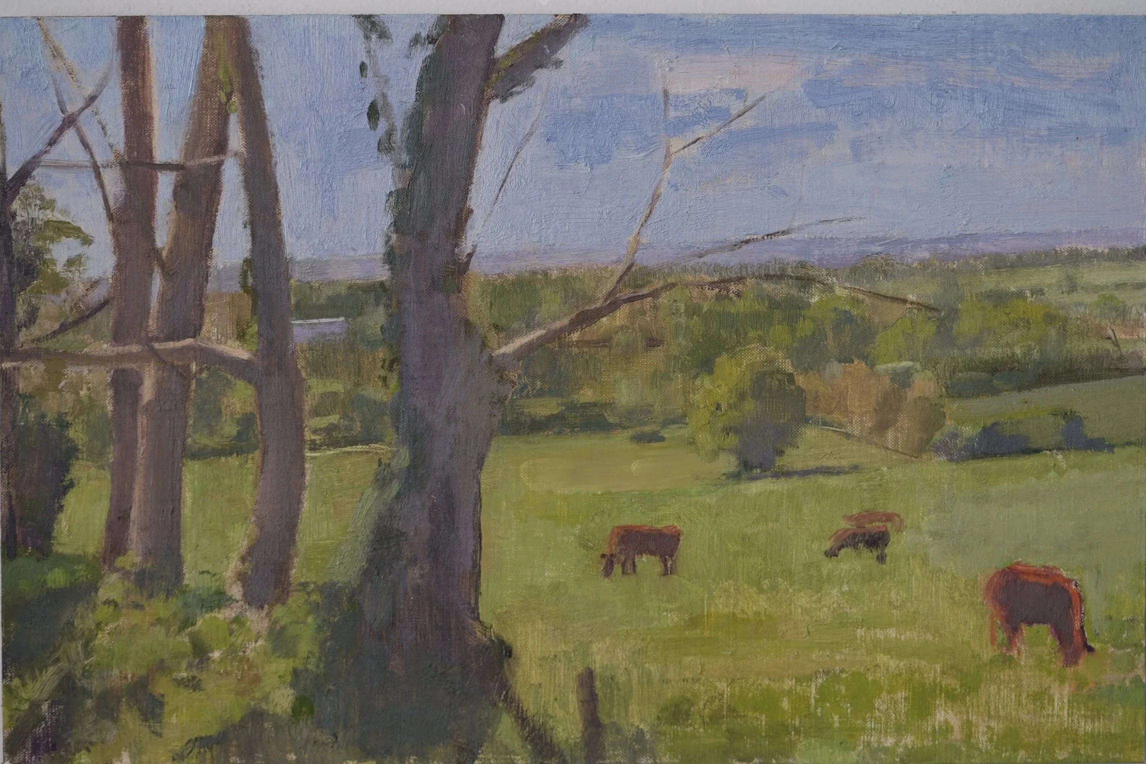 Rouge des Prés, Spring Morning, 2026