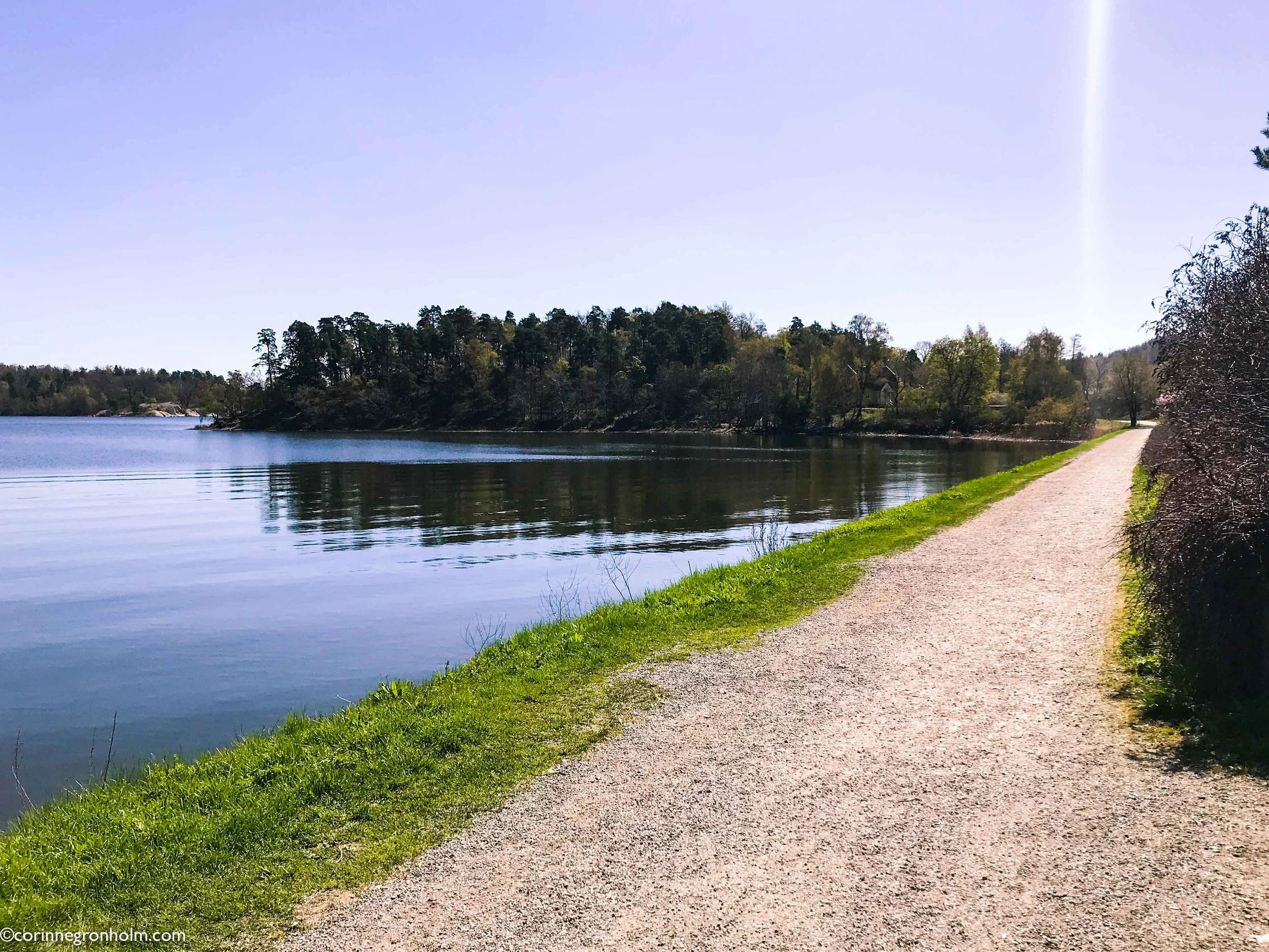 sommarsolna.jpg