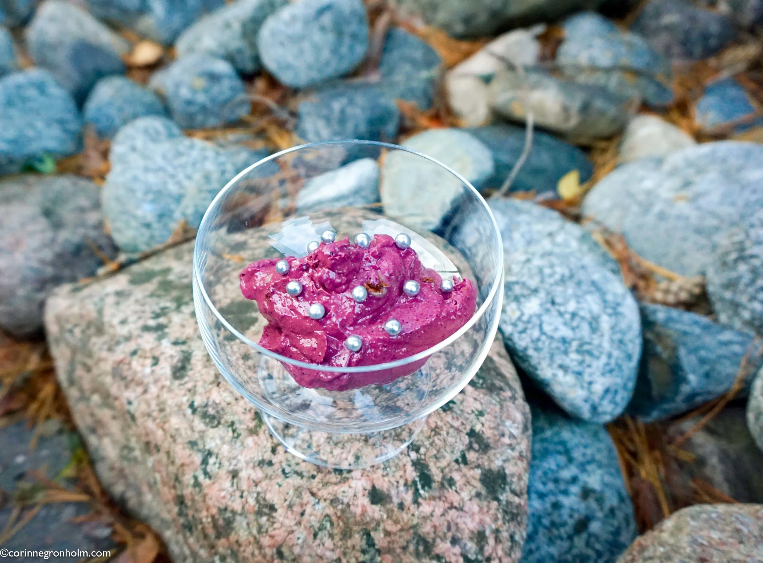 blåbärsdessert.jpg