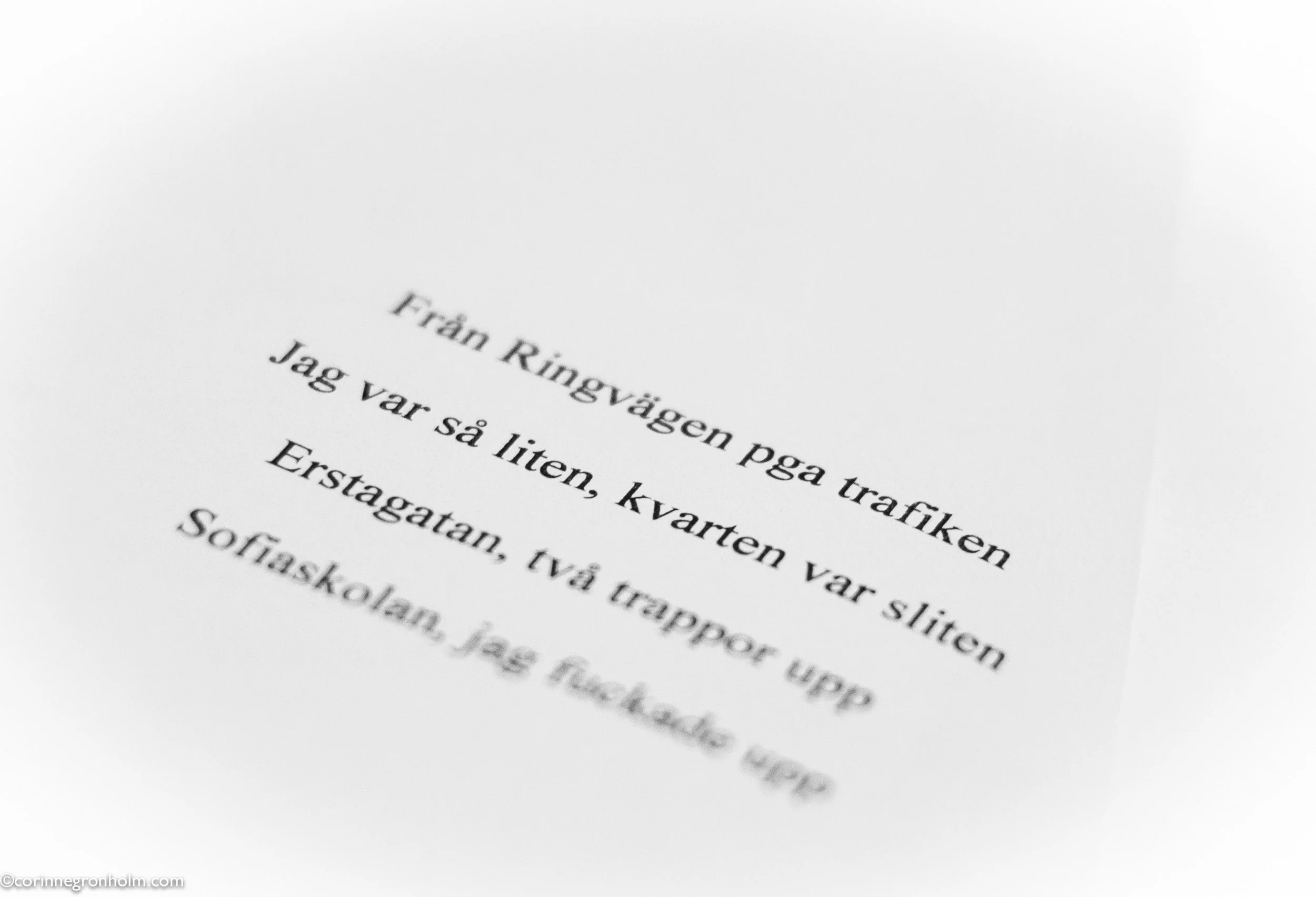 petterkonsert.jpg