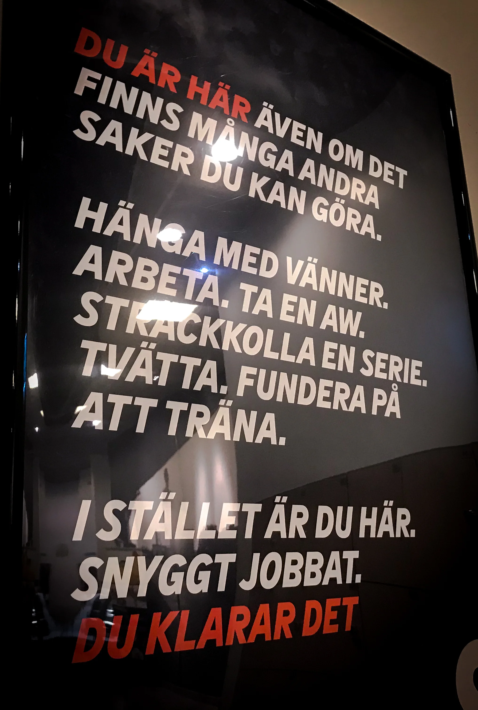 satselixia.jpg