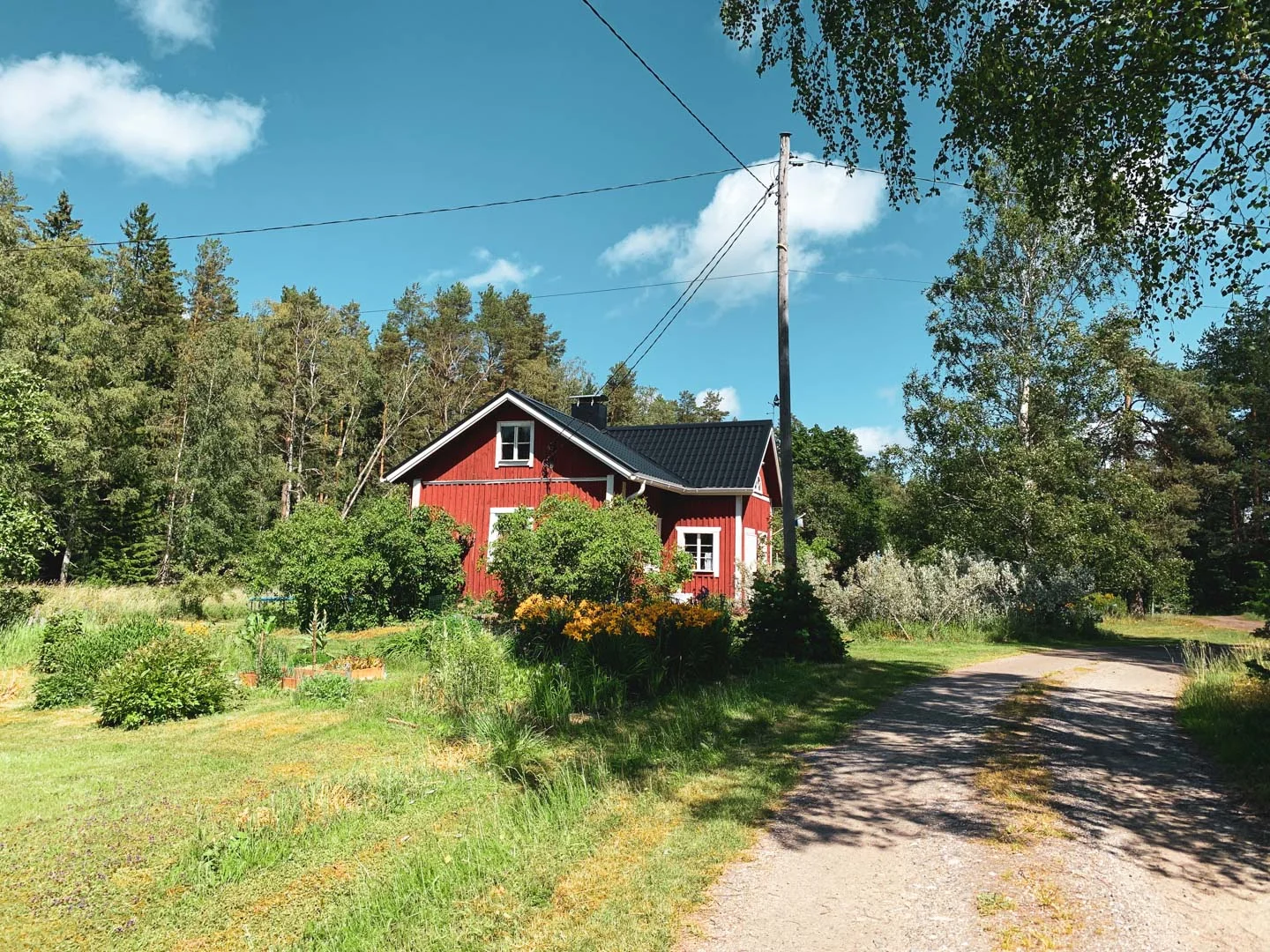 midsommar19-2.jpg