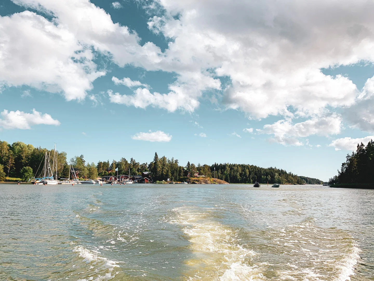 midsommar19-4.jpg
