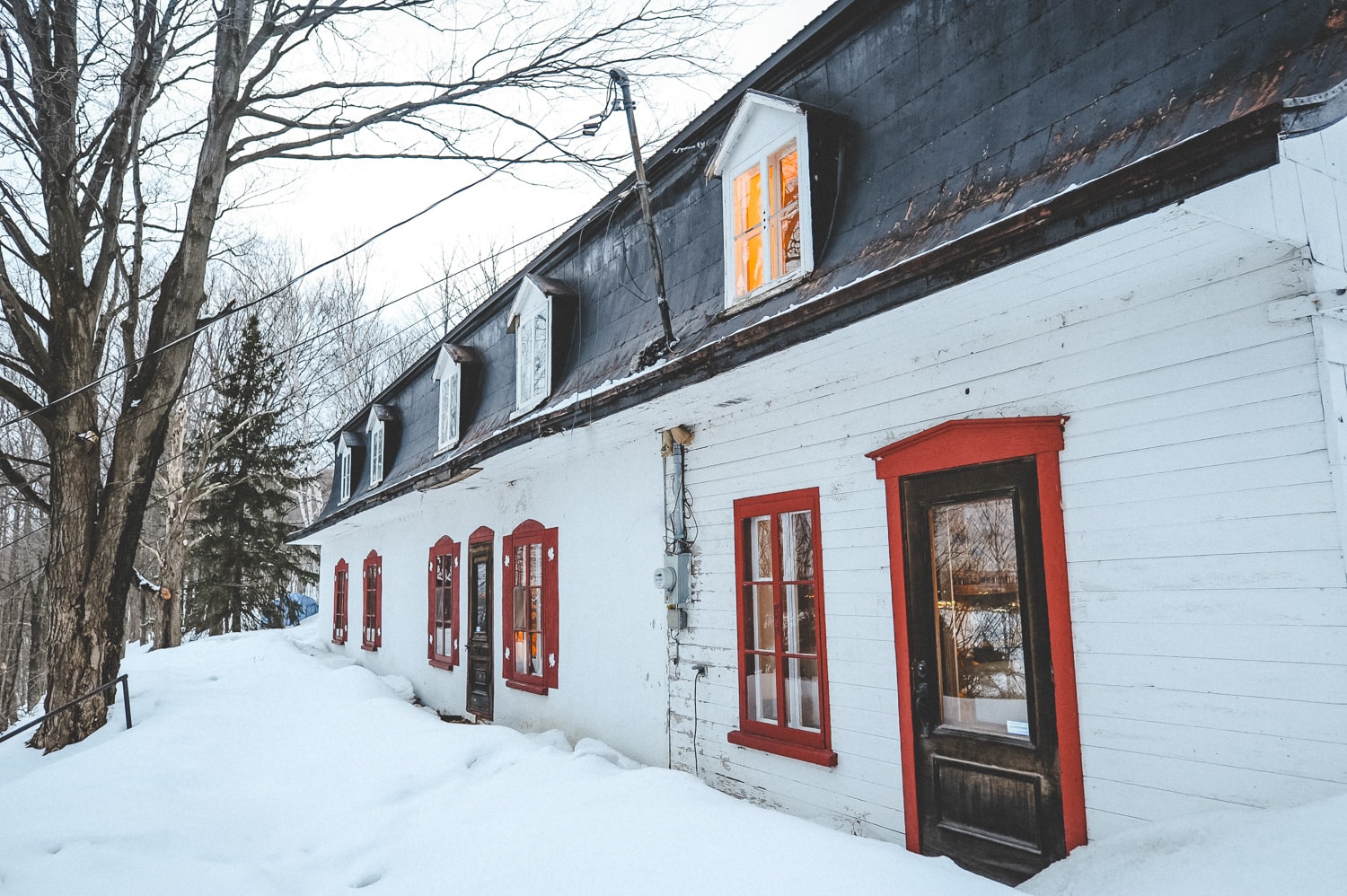 Snowy Facade.jpg