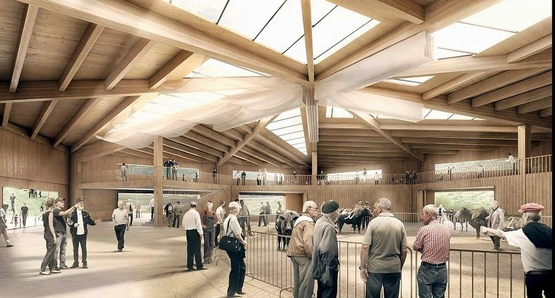 Neubau Markthalle Goler und Ringkuhkampfarena