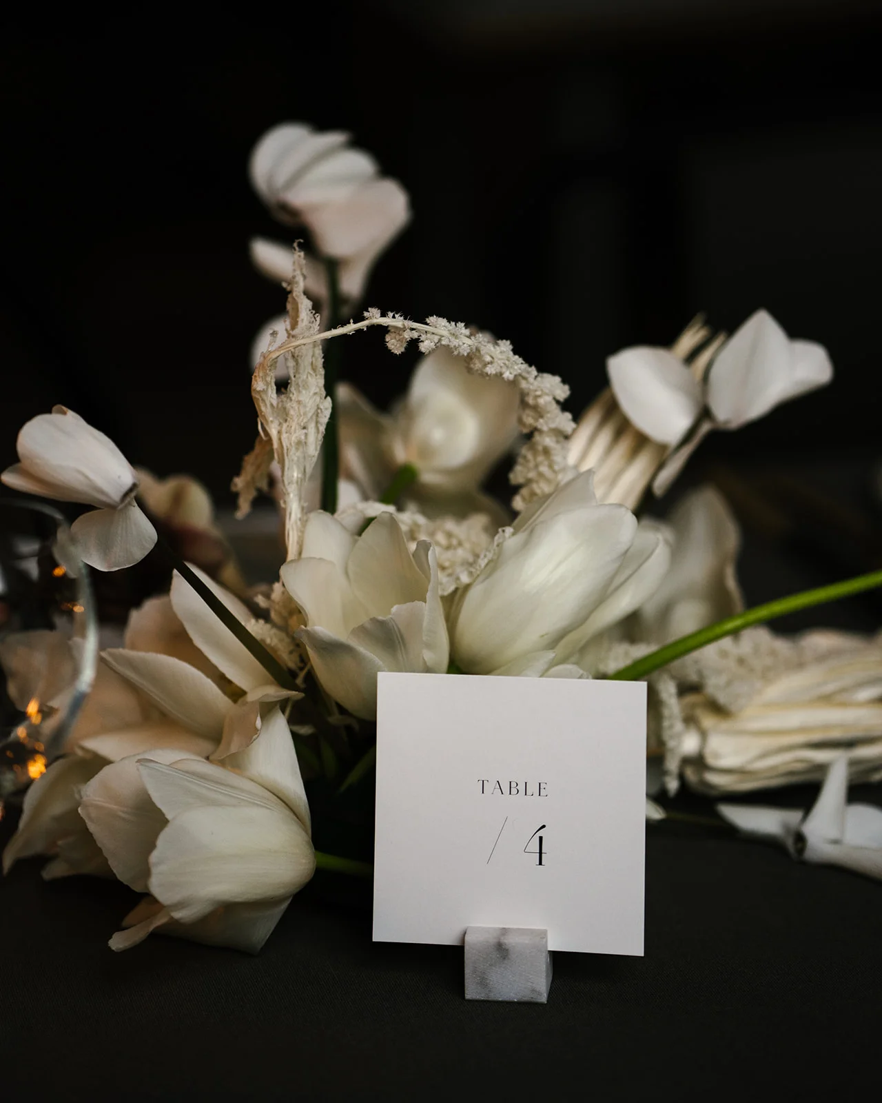 Hilde-Stories-Jessica-Williams-Photography-Still-Life-Flowers-85.jpg