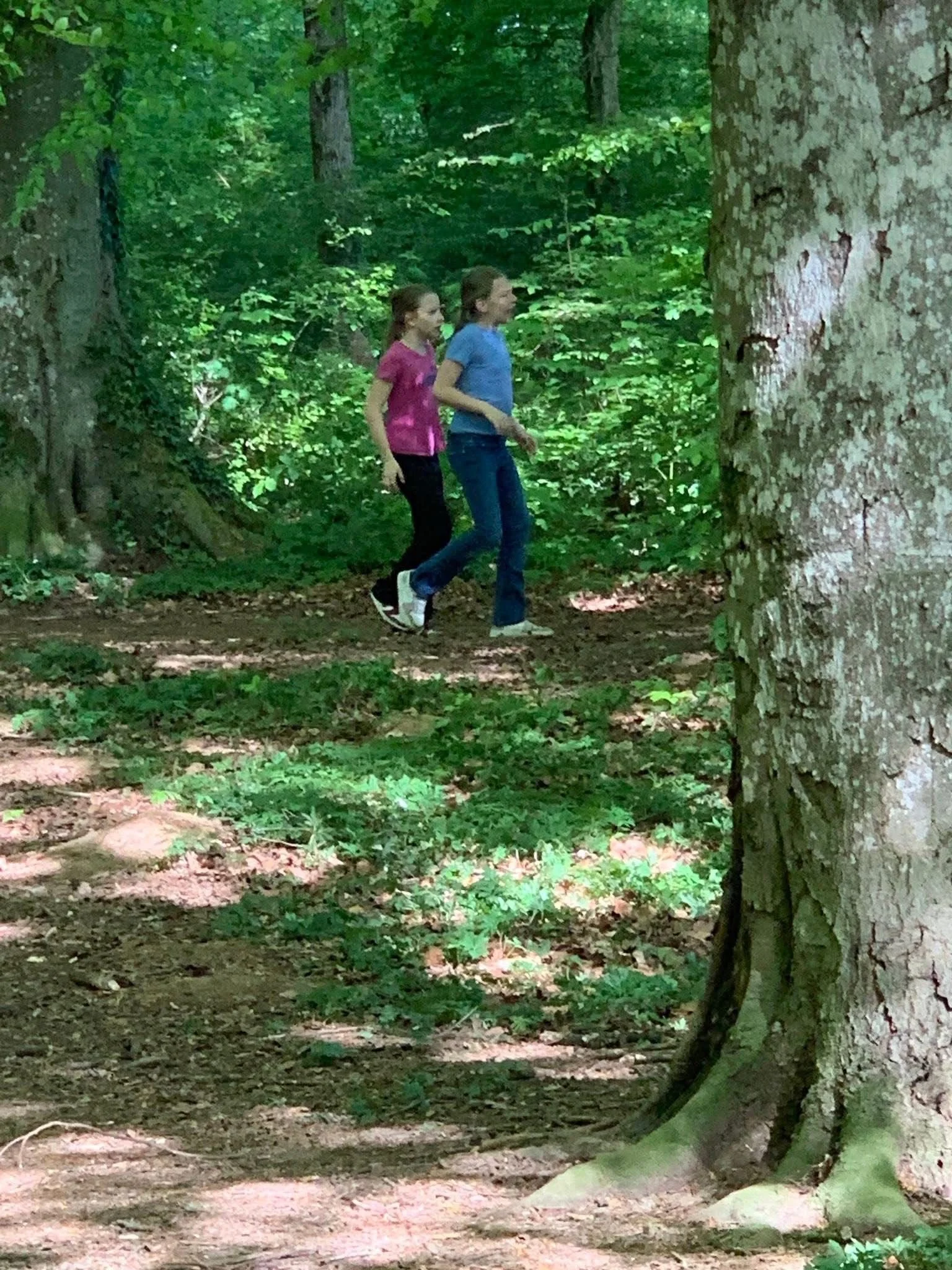 WhatsApp Image 2026-02-04 at 15.31.26 (5).jpeg