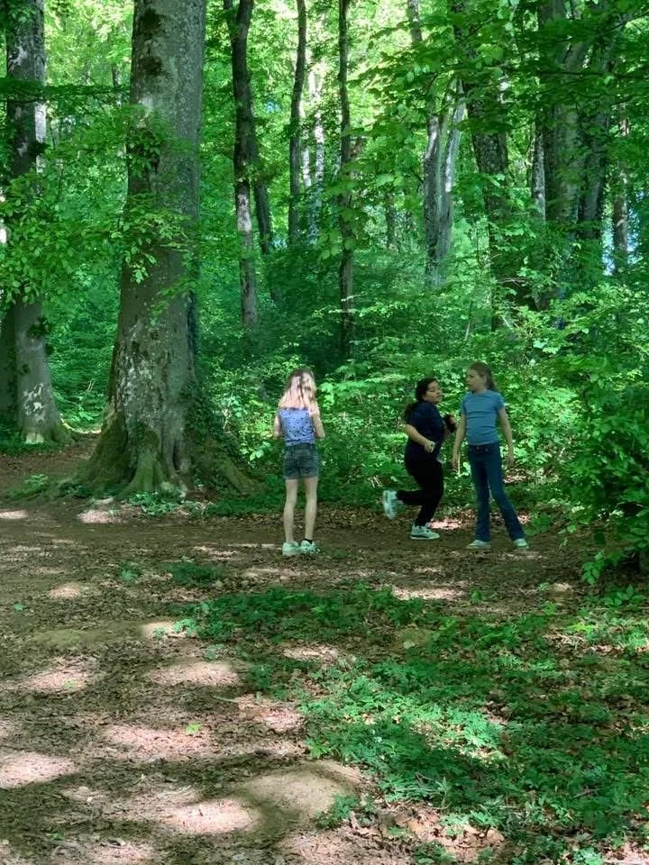 WhatsApp Image 2026-02-04 at 15.31.27 (1).jpeg