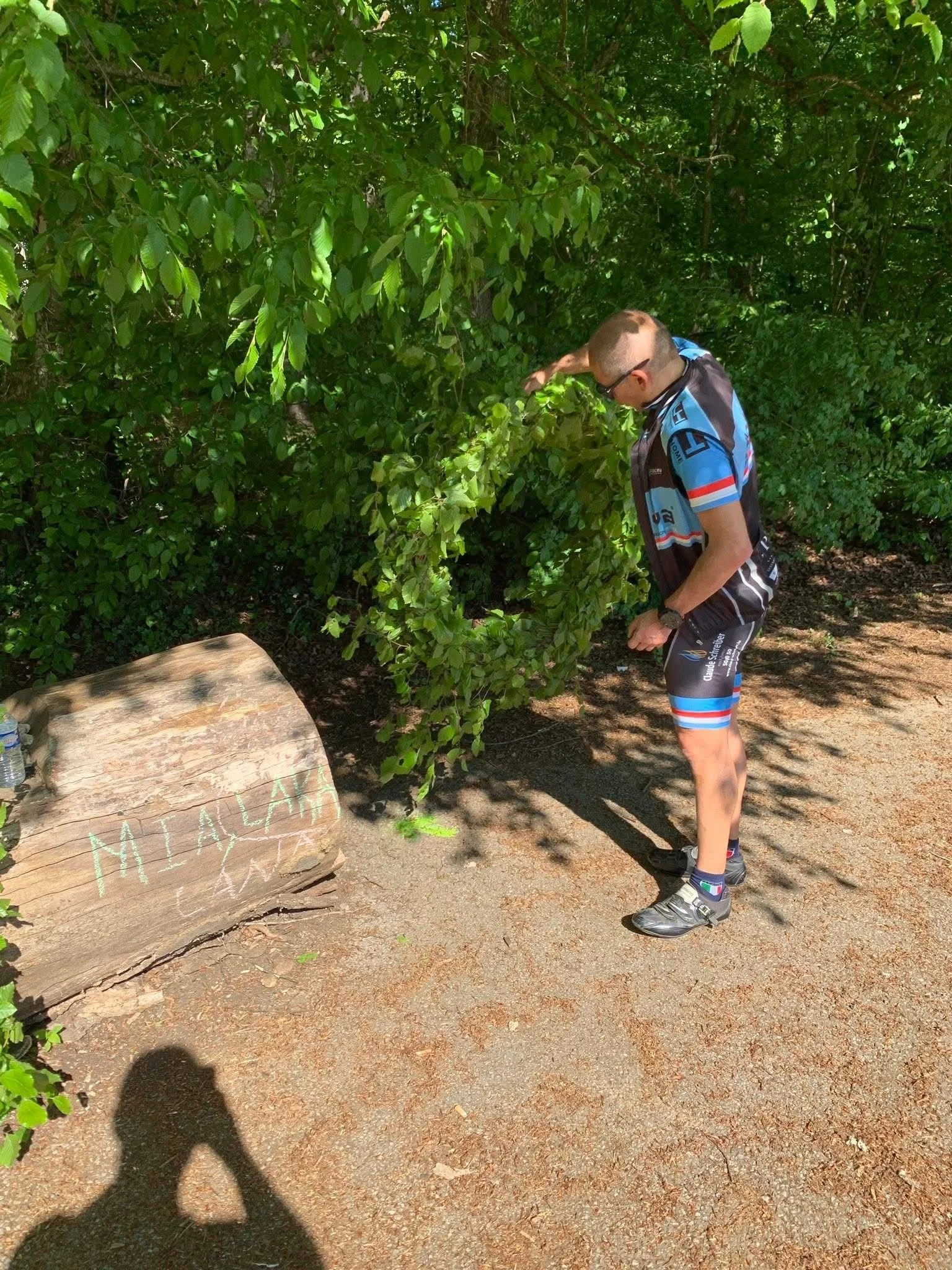 WhatsApp Image 2026-02-04 at 15.31.27 (2).jpeg