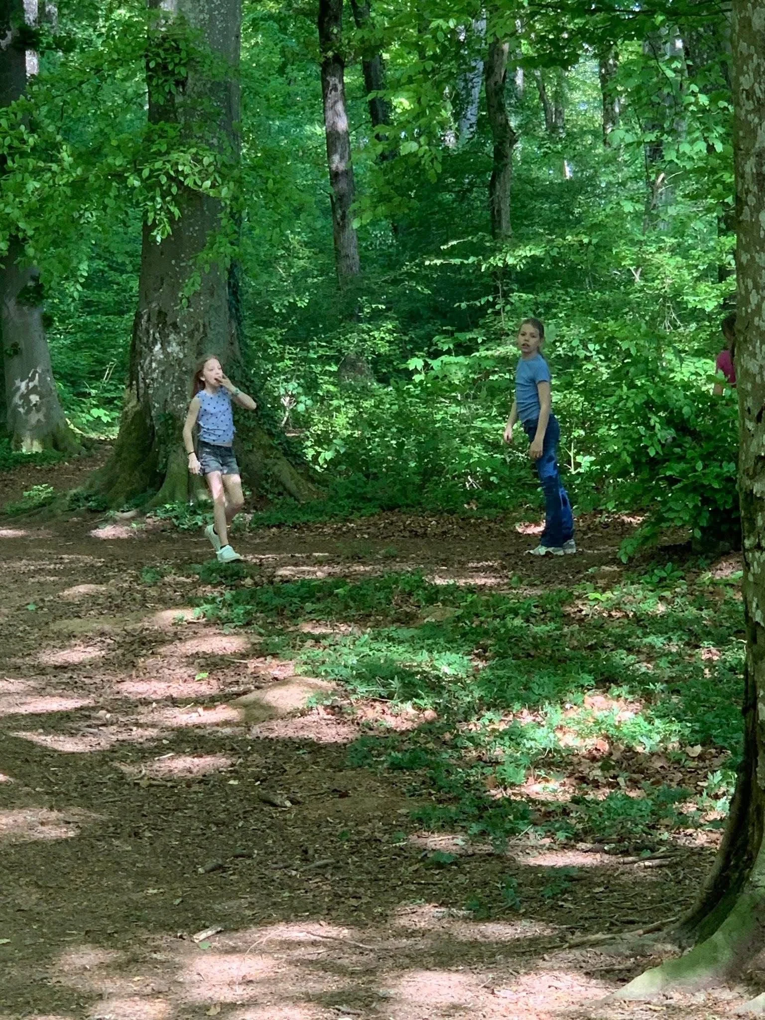 WhatsApp Image 2026-02-04 at 15.31.27.jpeg