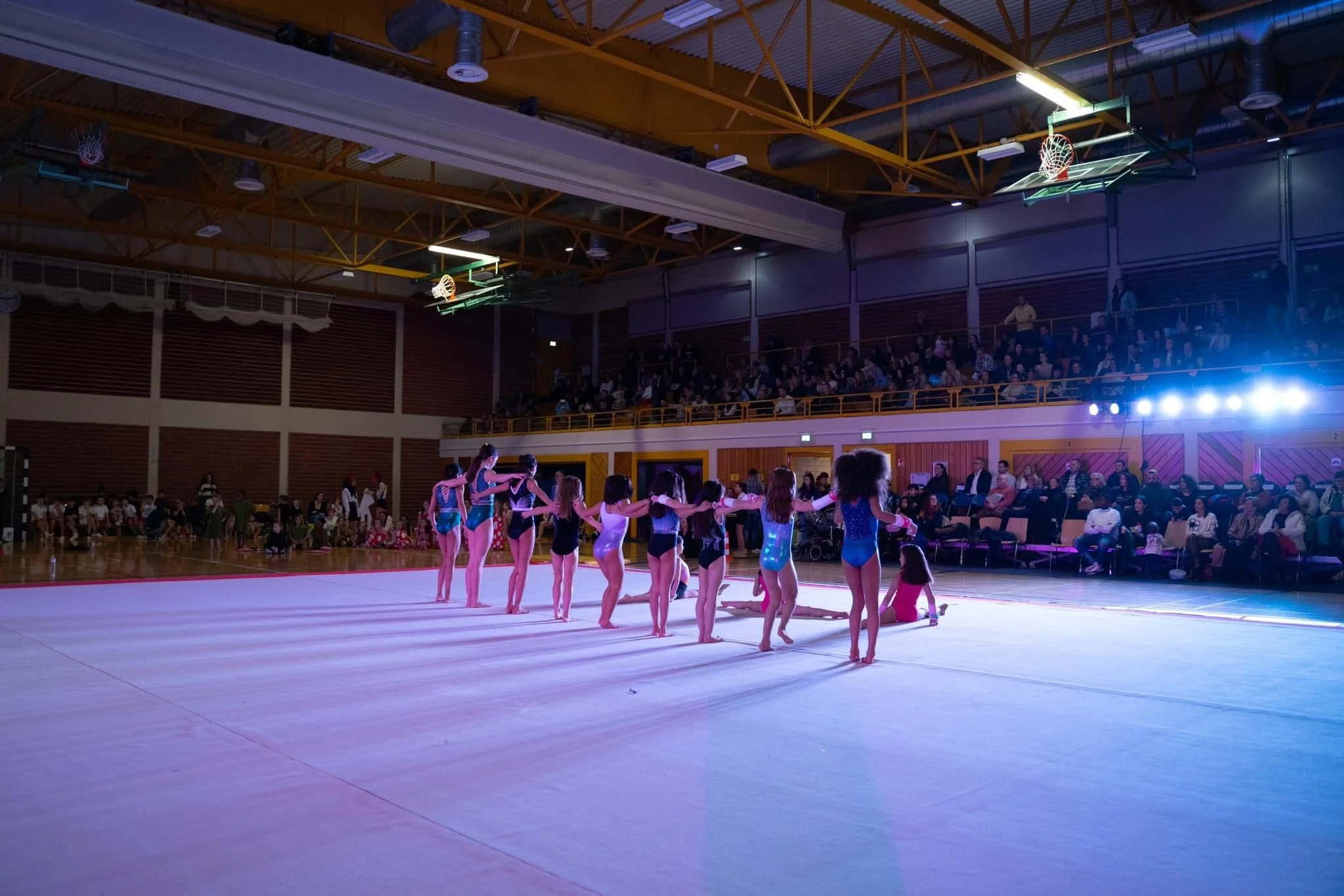 WhatsApp Image 2026-02-05 at 11.49.02.jpeg