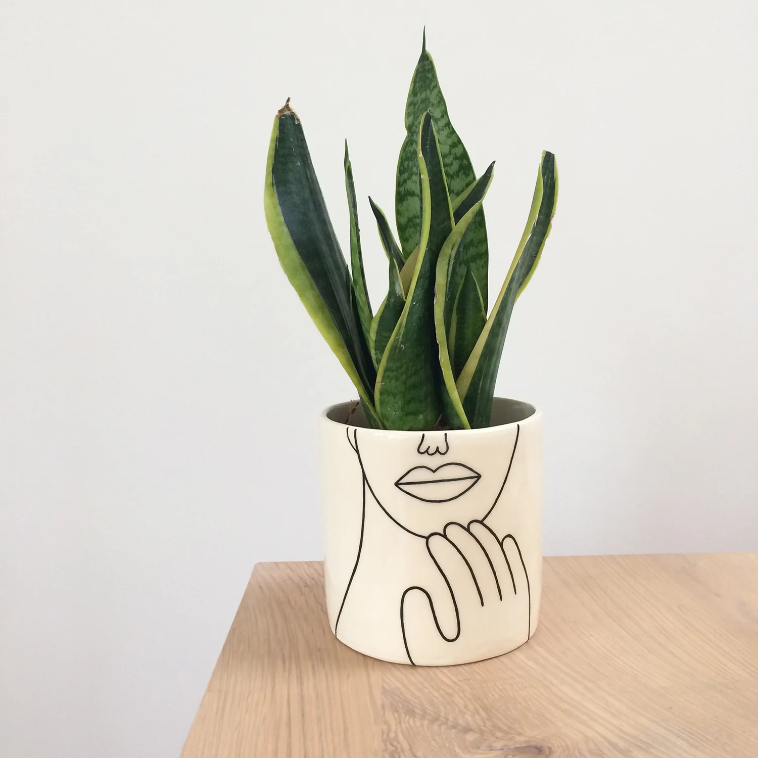 gentleplanter-web.JPG