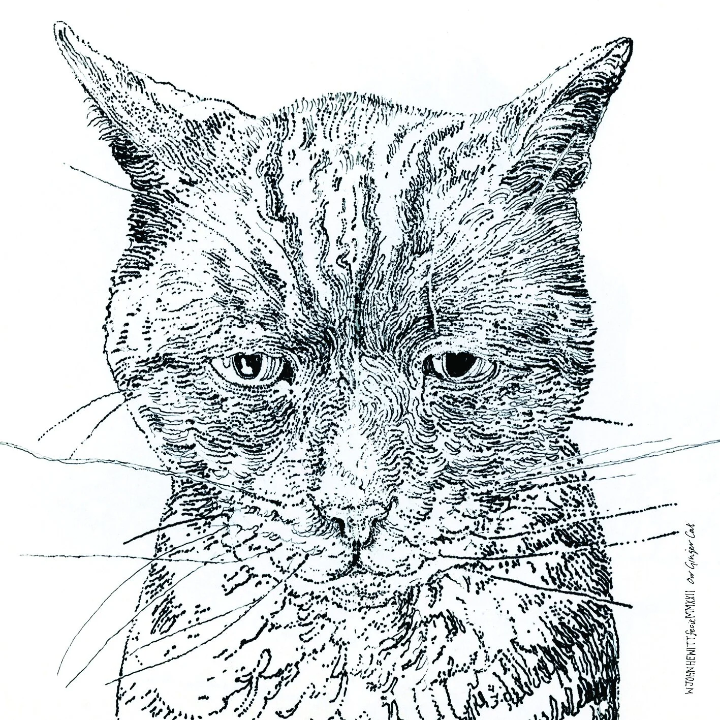 John Hewitt - Our Ginger Cat