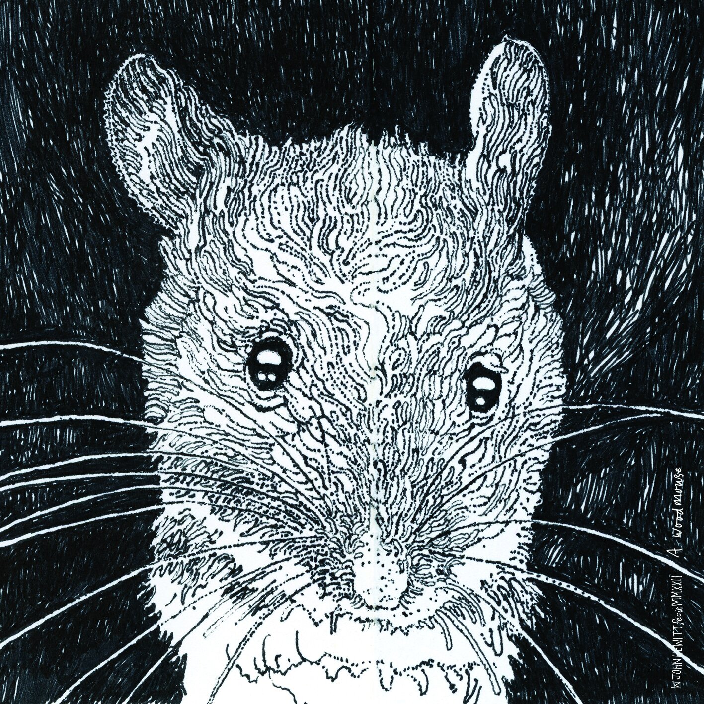 John Hewitt - A Woodmouse