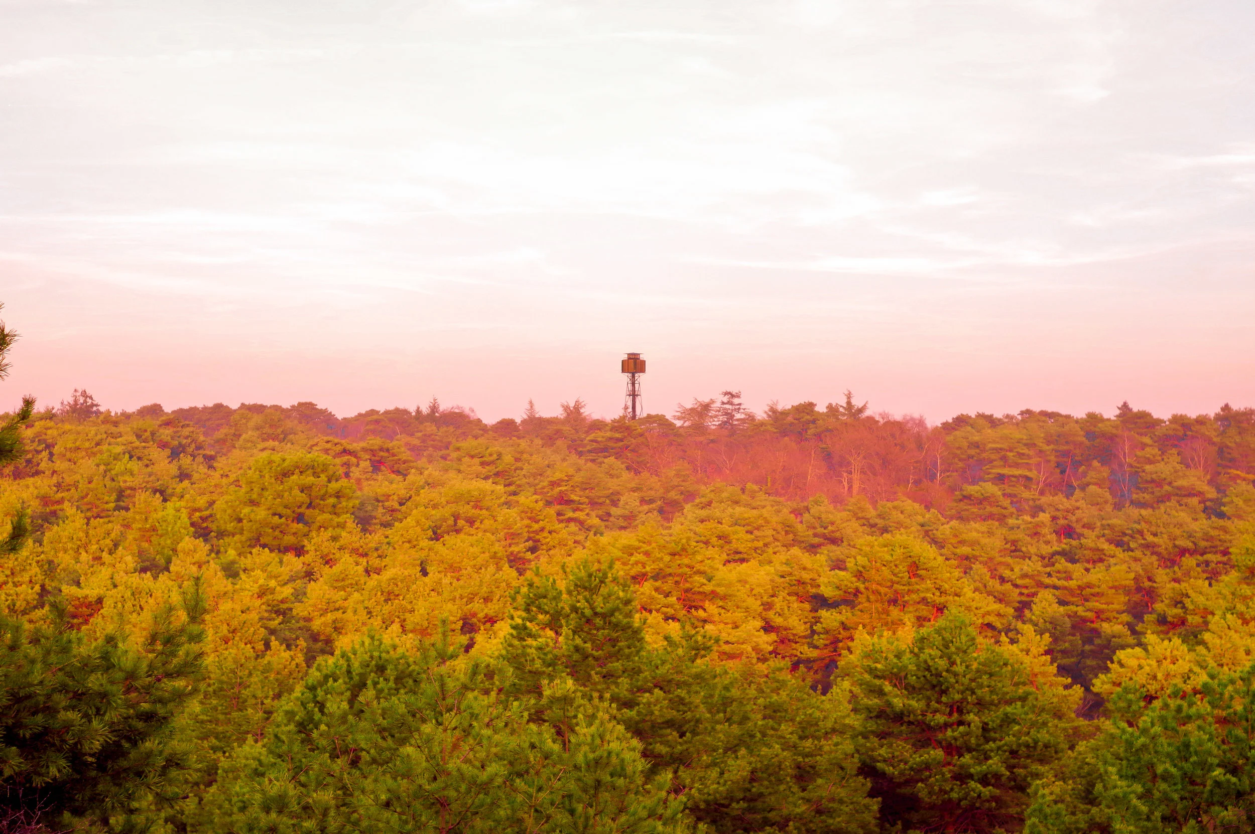 Picture I took during a real-life hike after playing Firewatch