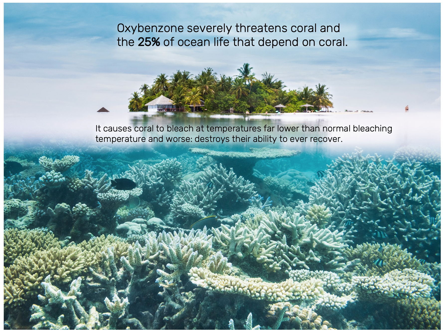 The Original Oxybenzone Research Paper