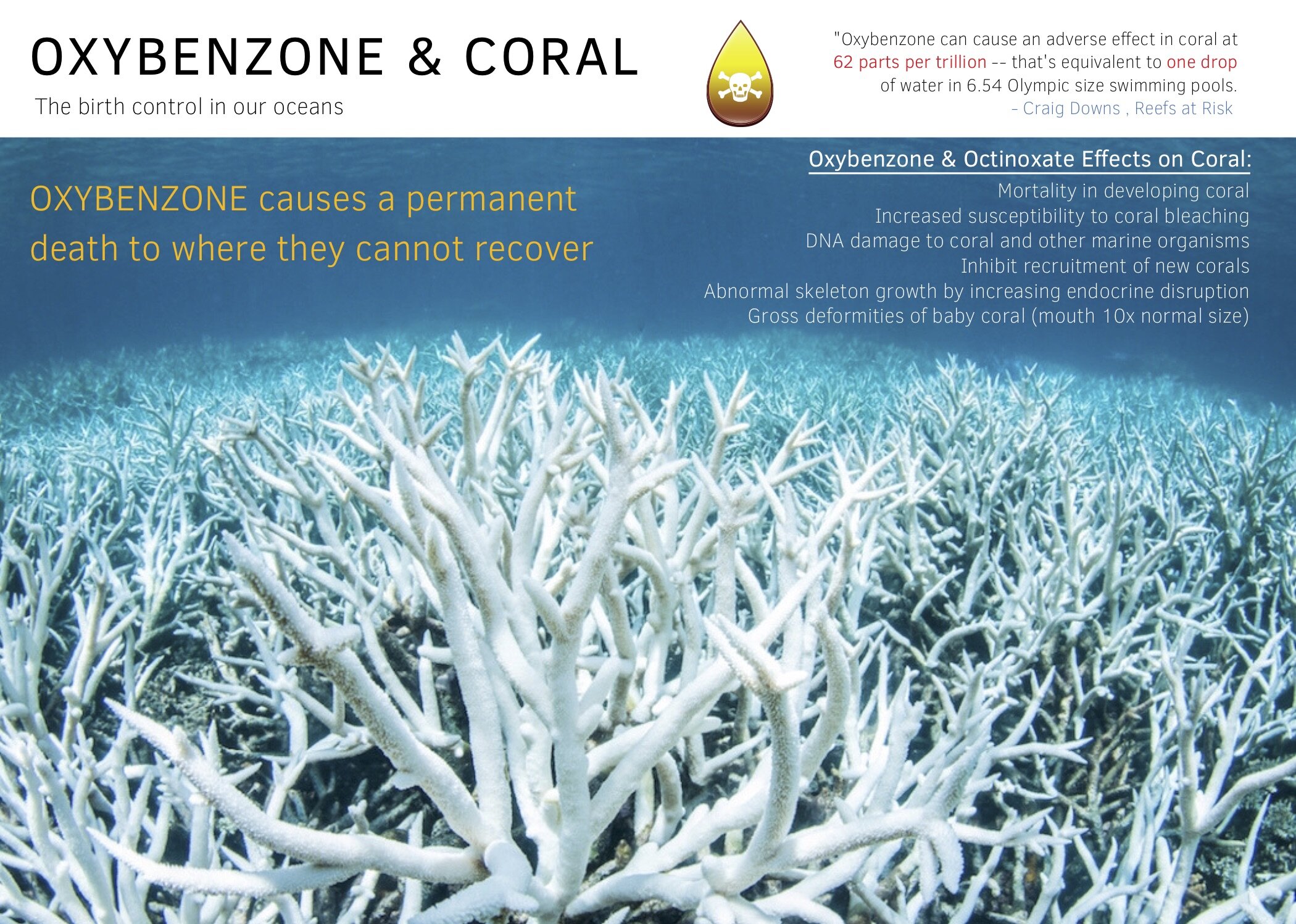 SAVE THE CORALS