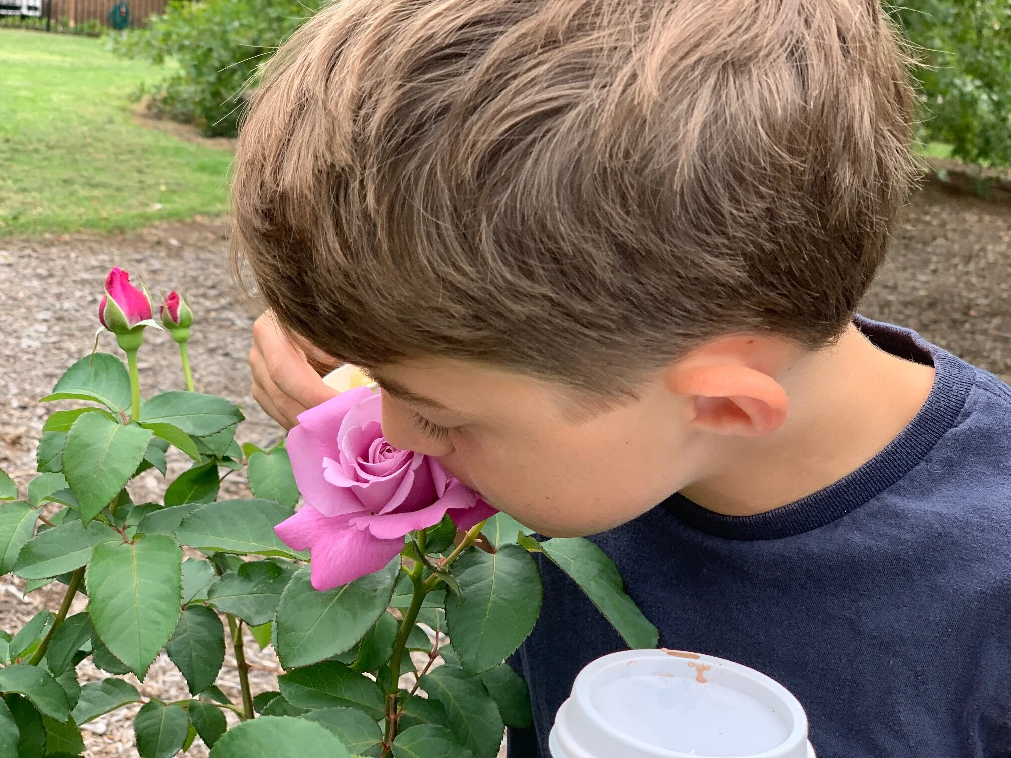 Reassurance in the throes of COVID-19 -  remember to smell the roses!