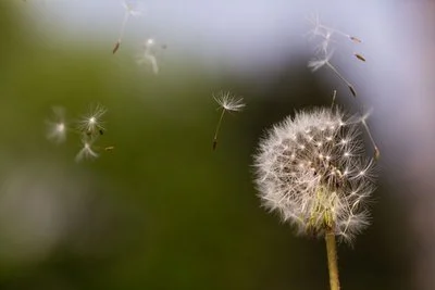 Reflection, Reverence, and Relevance