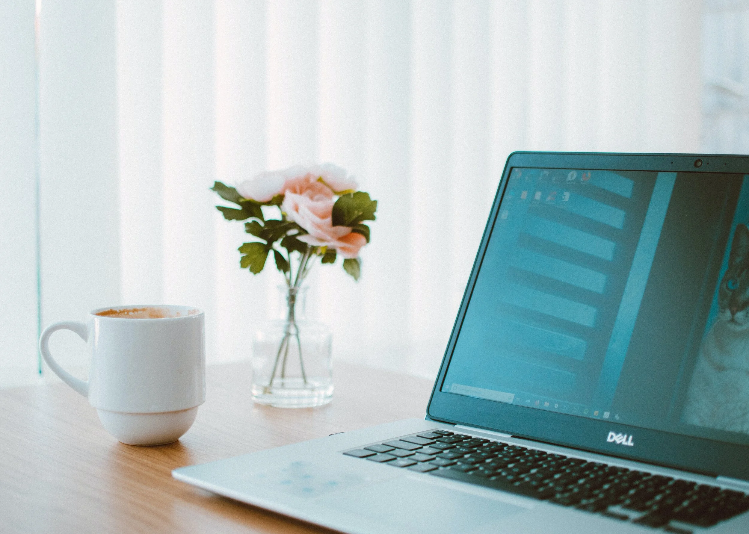 black-and-gray-dell-laptop-beside-white-ceramic-mug-flower-1989304.jpg
