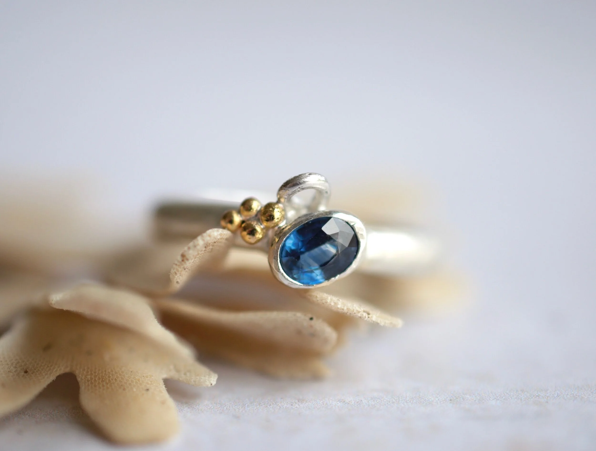 F27CD8C0-A400-4426-B881-E96935E74509