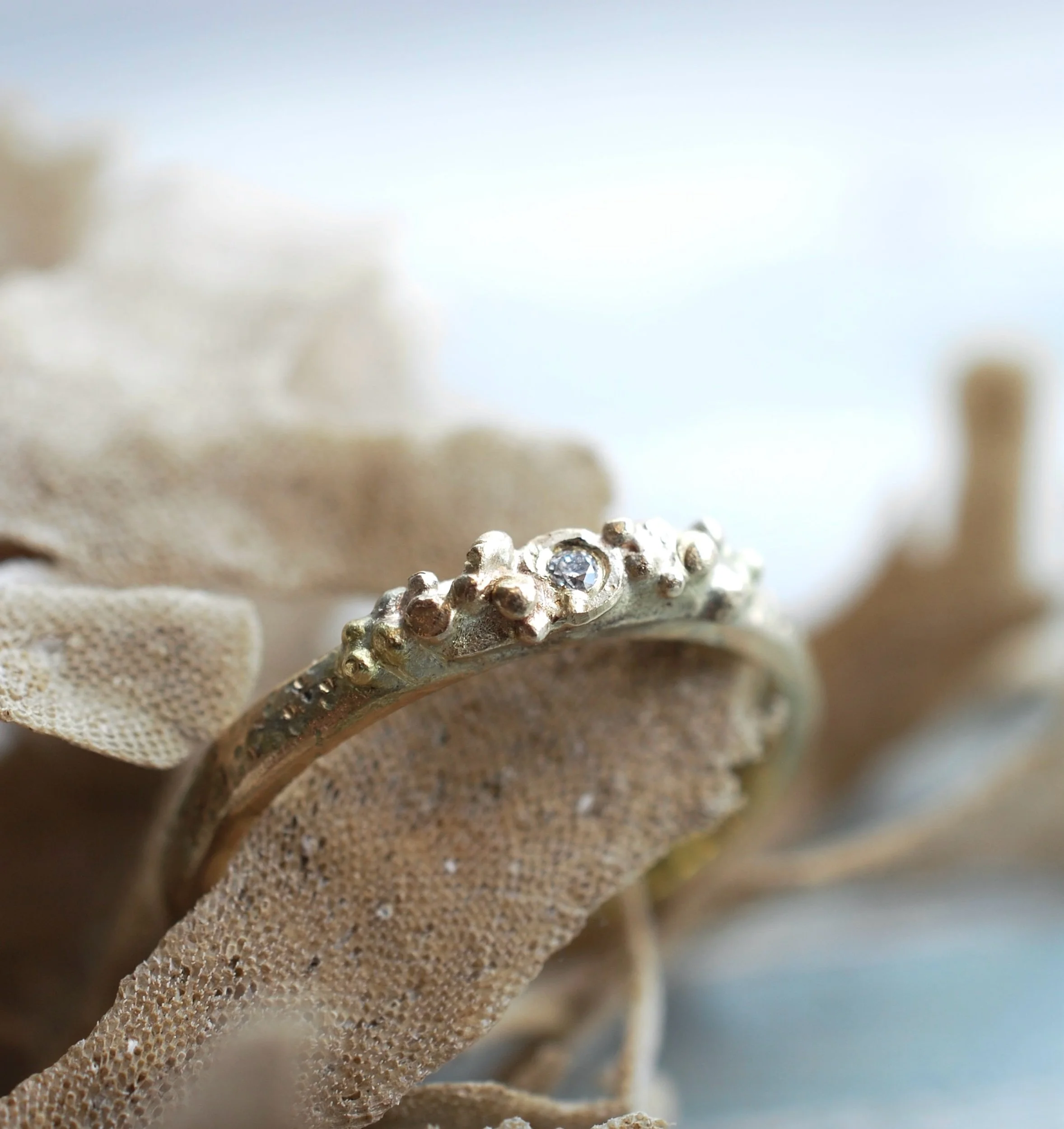 FD8131A3-EF73-4BA1-B926-C47570B6B0D7