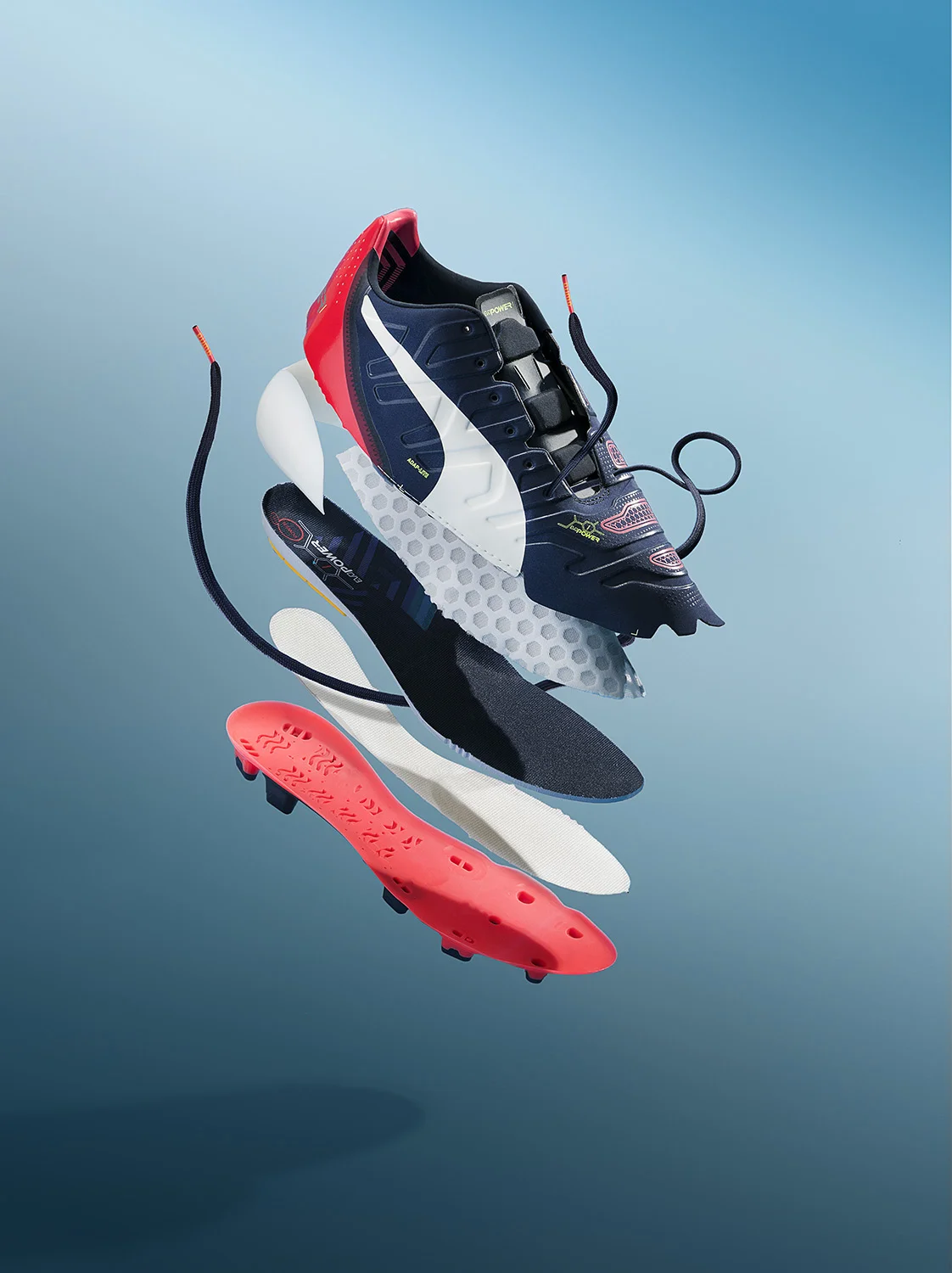 PumaV2_low.jpg