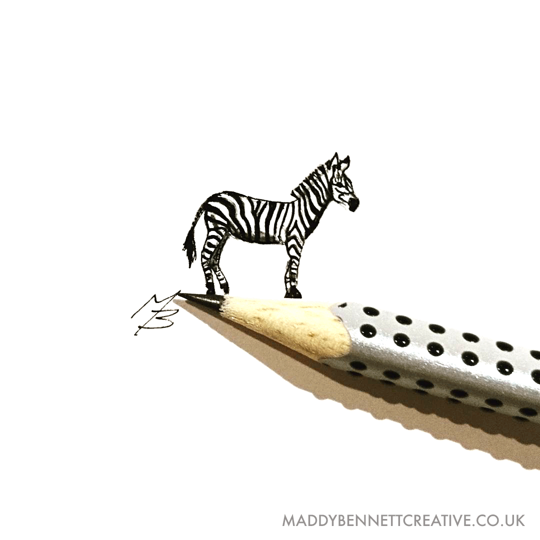 zebra-with-pencil-light-with-website.gif