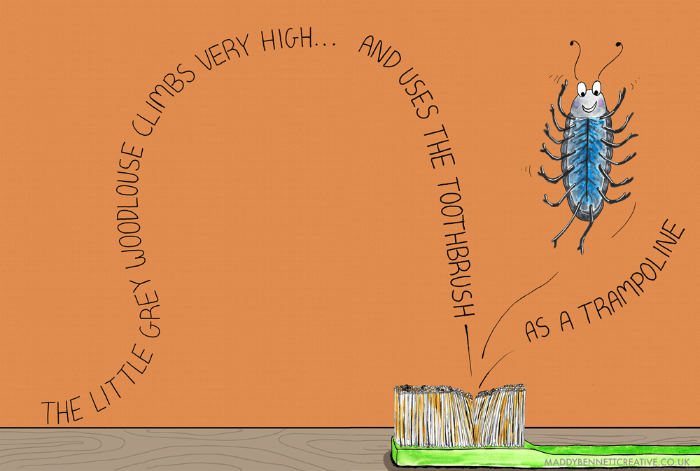 Little-grey-woodlouse-spread-for-website.gif