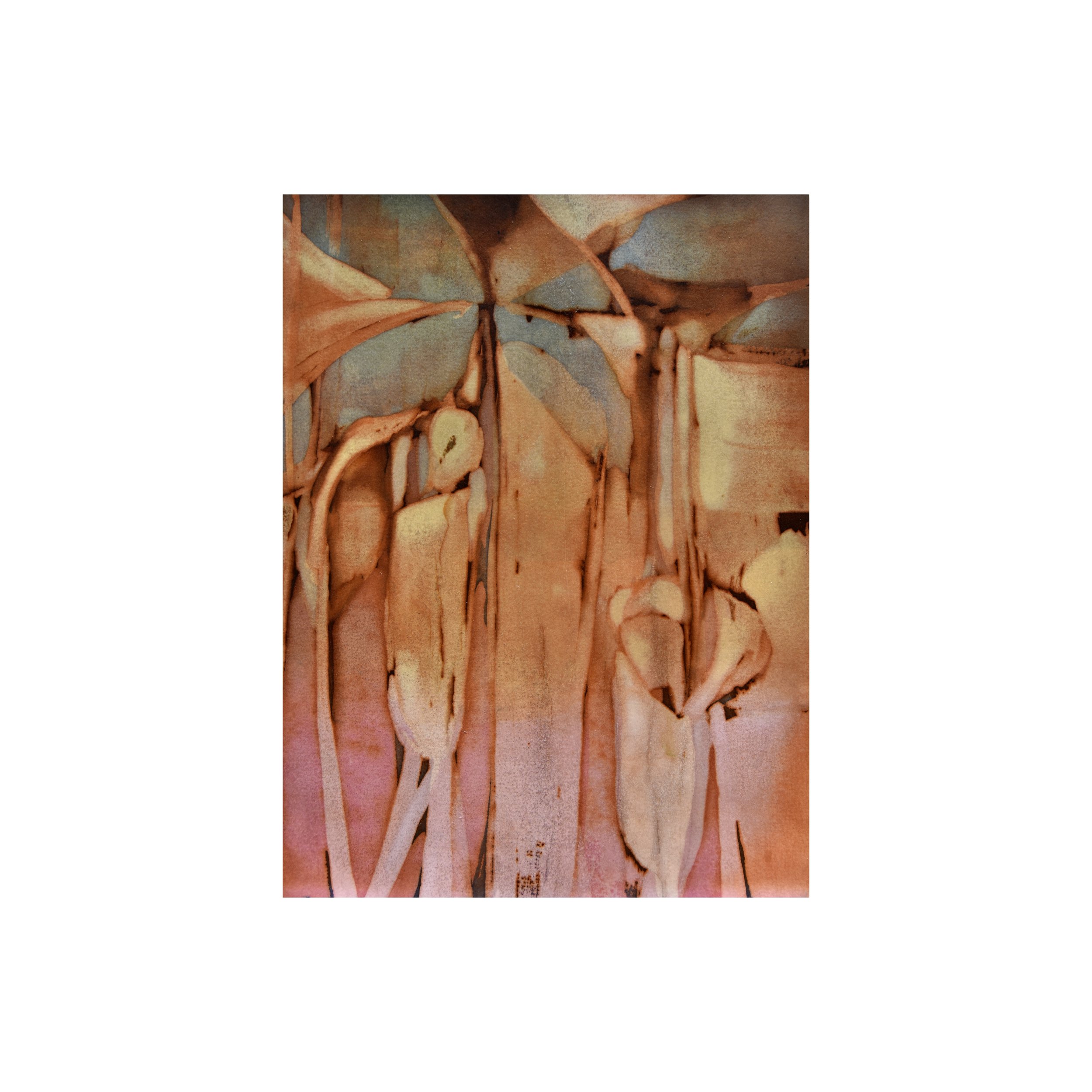 jackinthepulpit copy copy.jpg