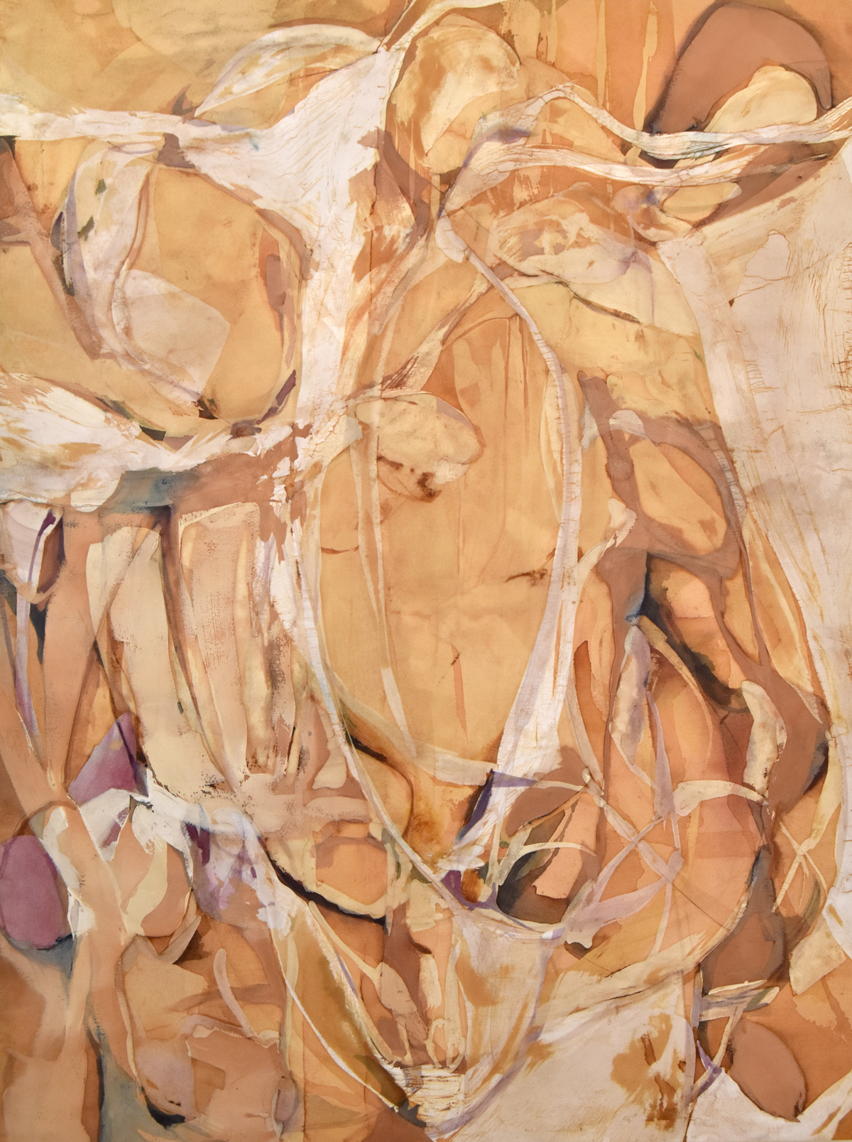 Feather Remnants 30” x 40” Natural Dye on Paper
