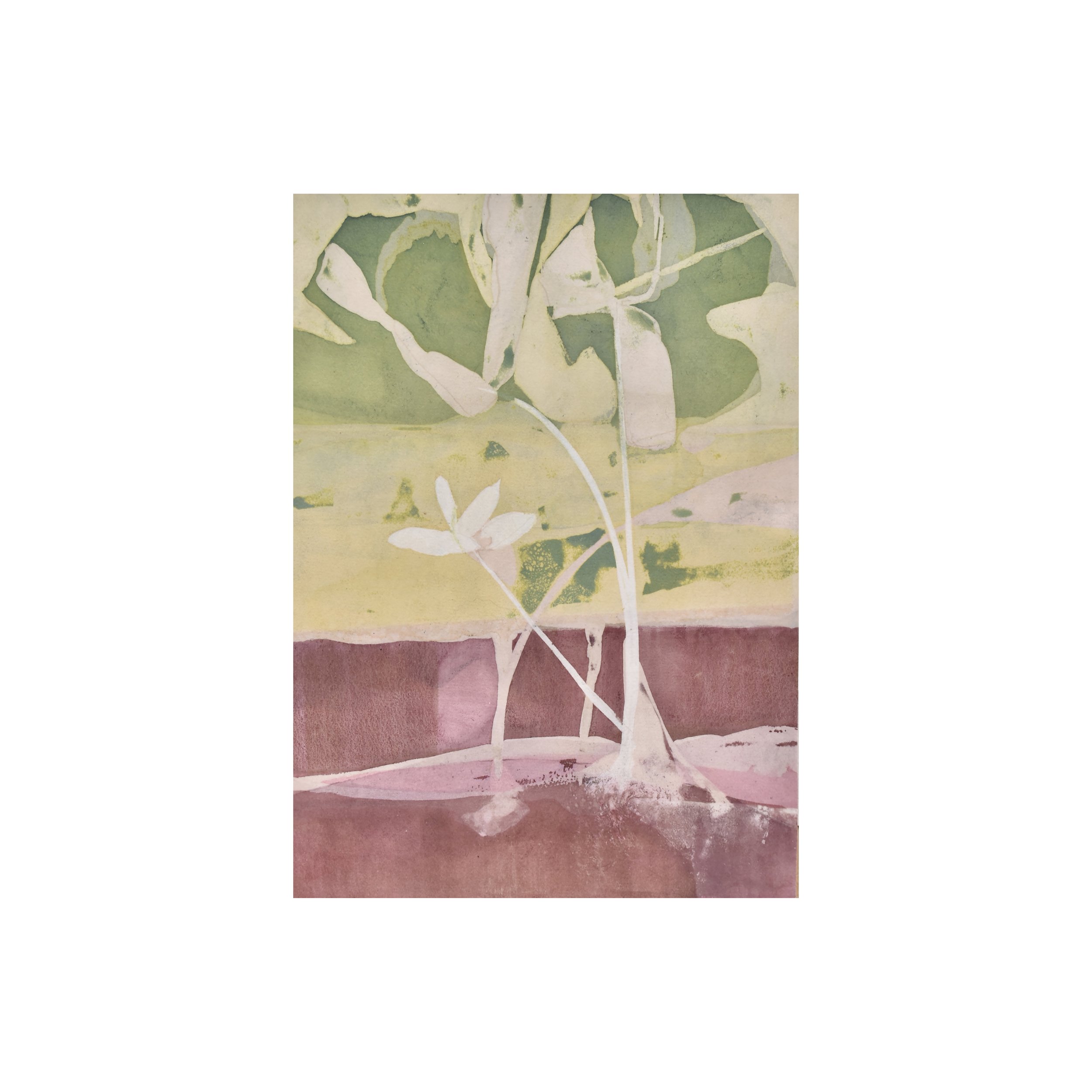 bloodroot copy.jpg