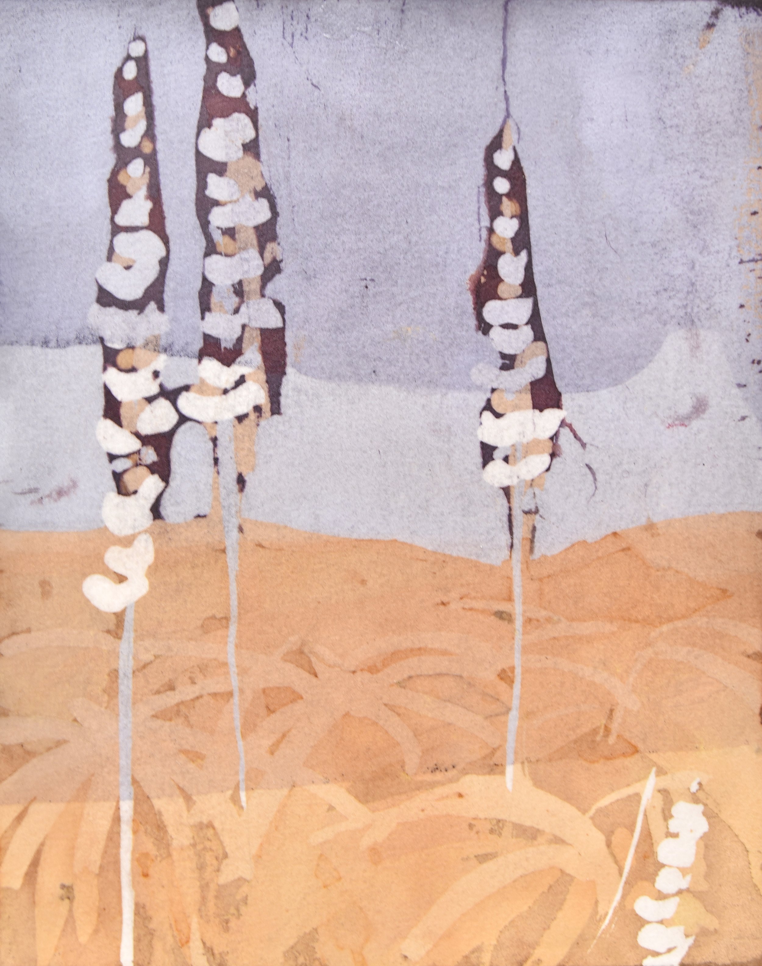 lupine10.jpg