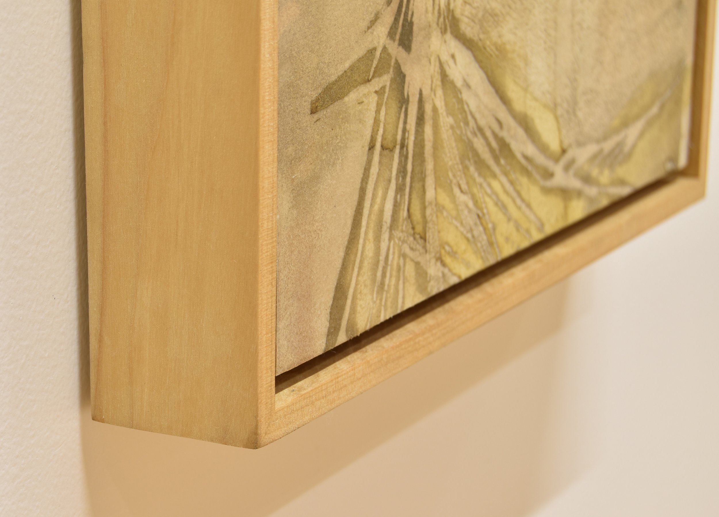 ferndetail.jpg